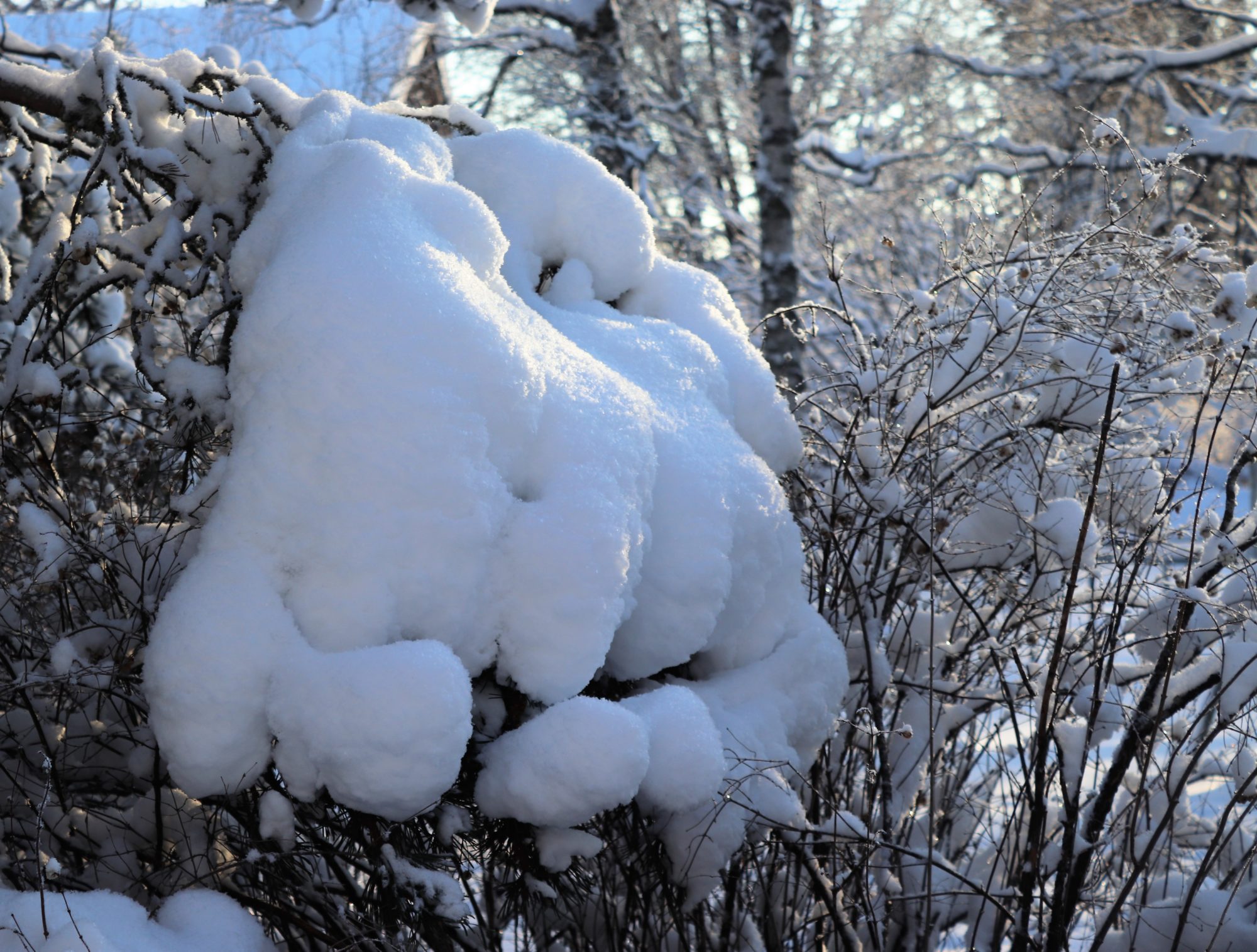 Valokuvaaja: Irja Lehtinen