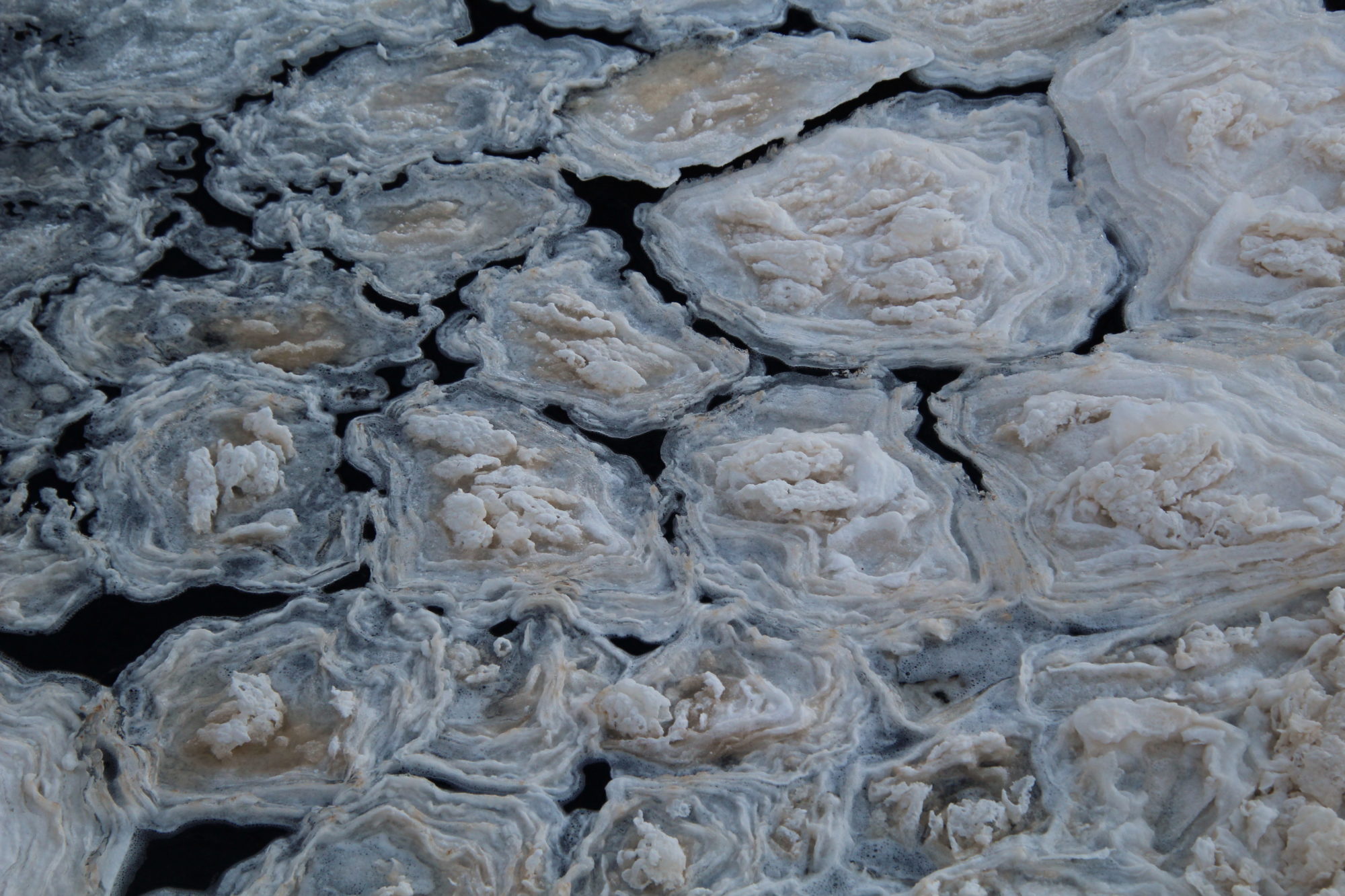 Valokuvaaja: Ville Forss