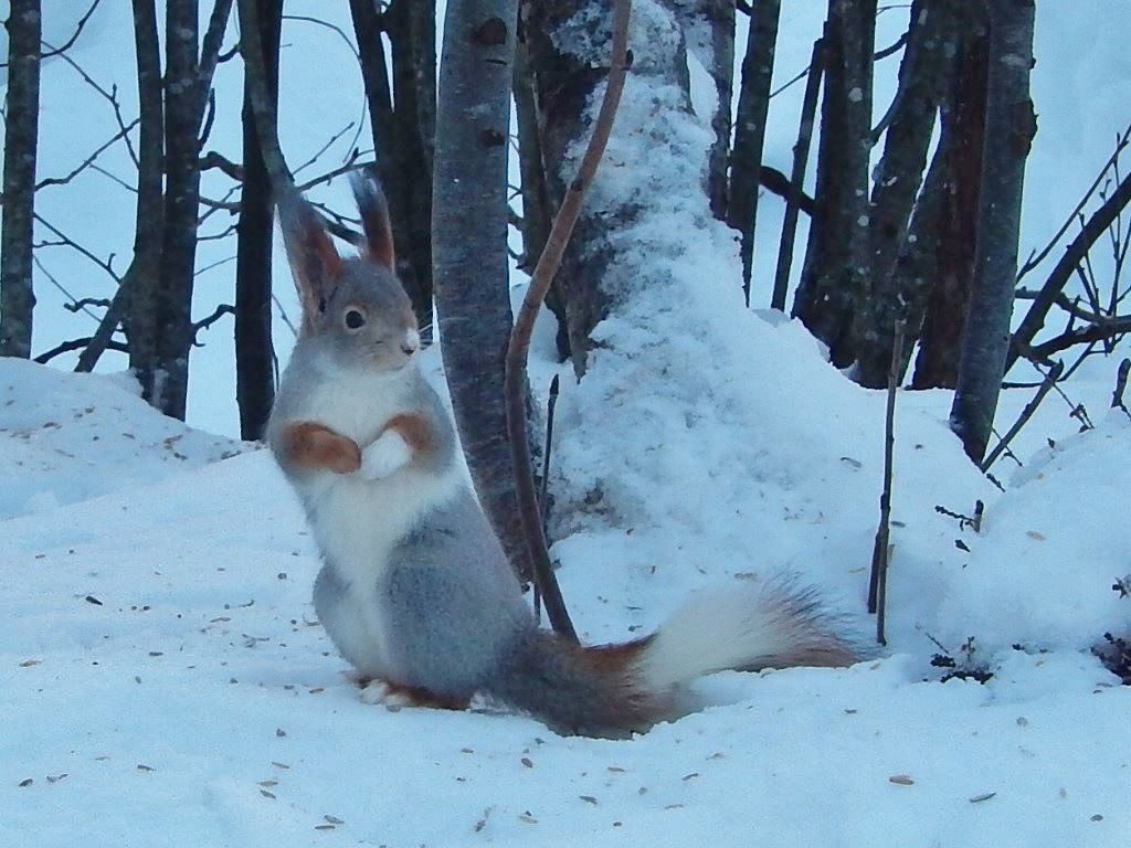 Valokuvaaja: Pirkko Siukonen