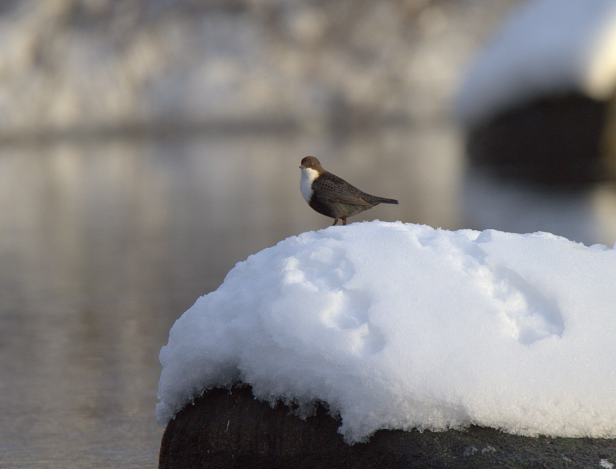 Valokuvaaja: Sirpa Jyske