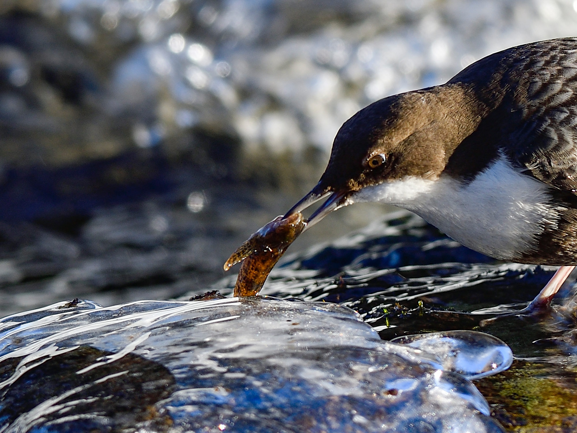 Valokuvaaja: Markku Paananen