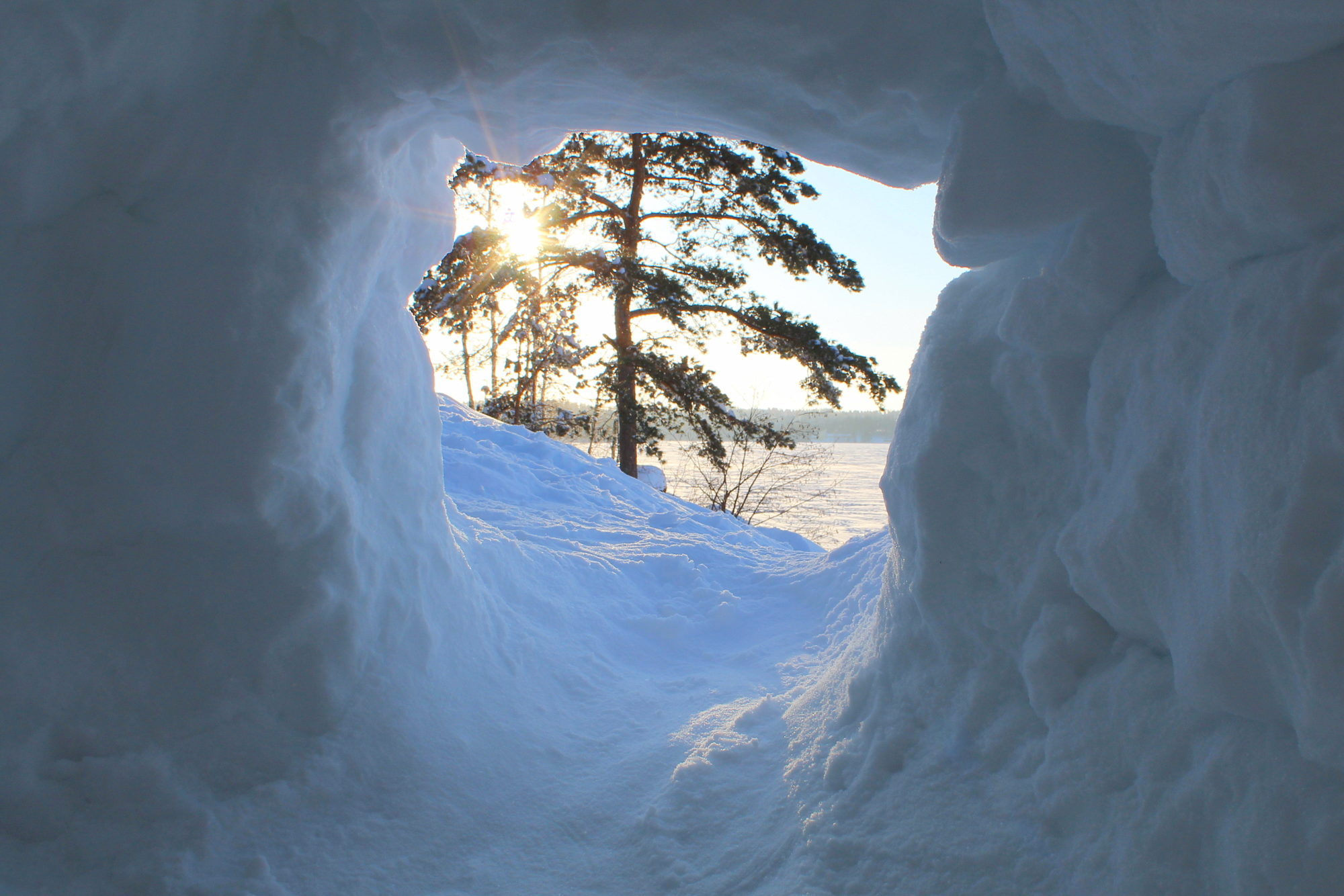 Valokuvaaja: Paula Savelius