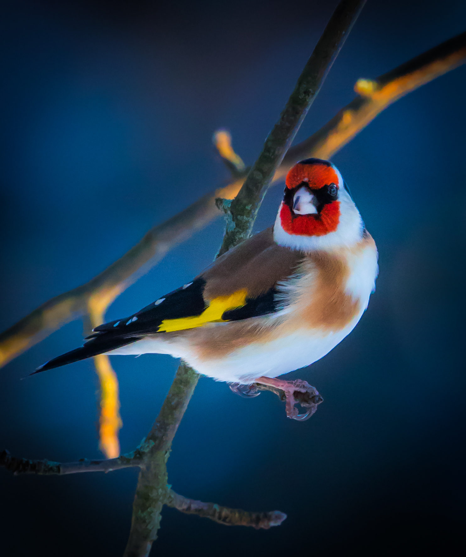 Valokuvaaja: Jukka Risikko