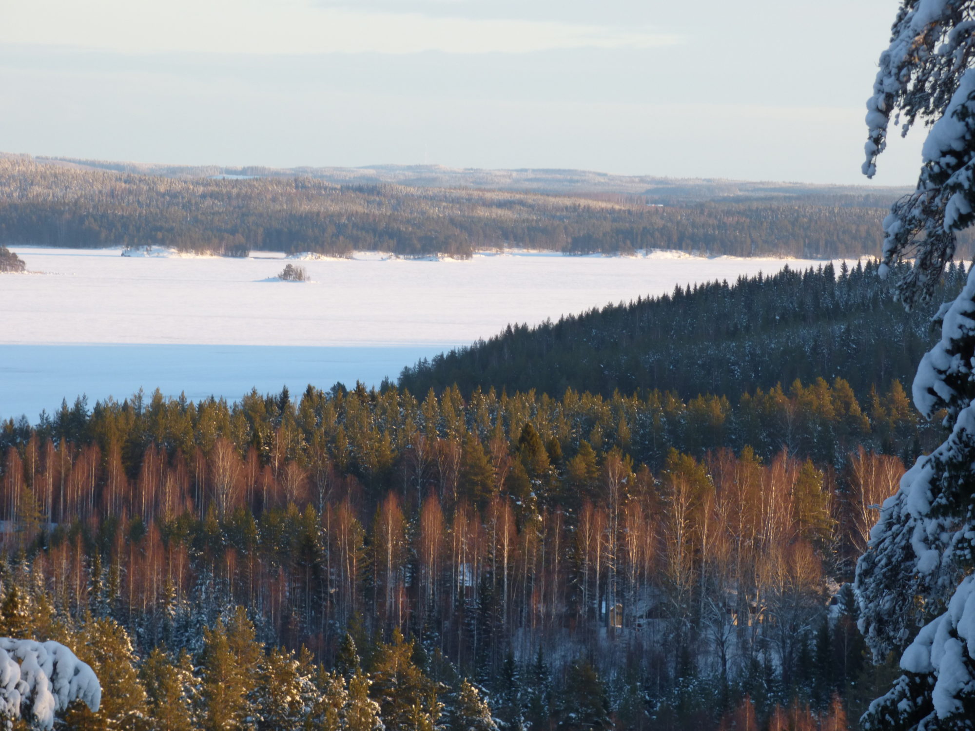 Valokuvaaja: Hannu Rissanen