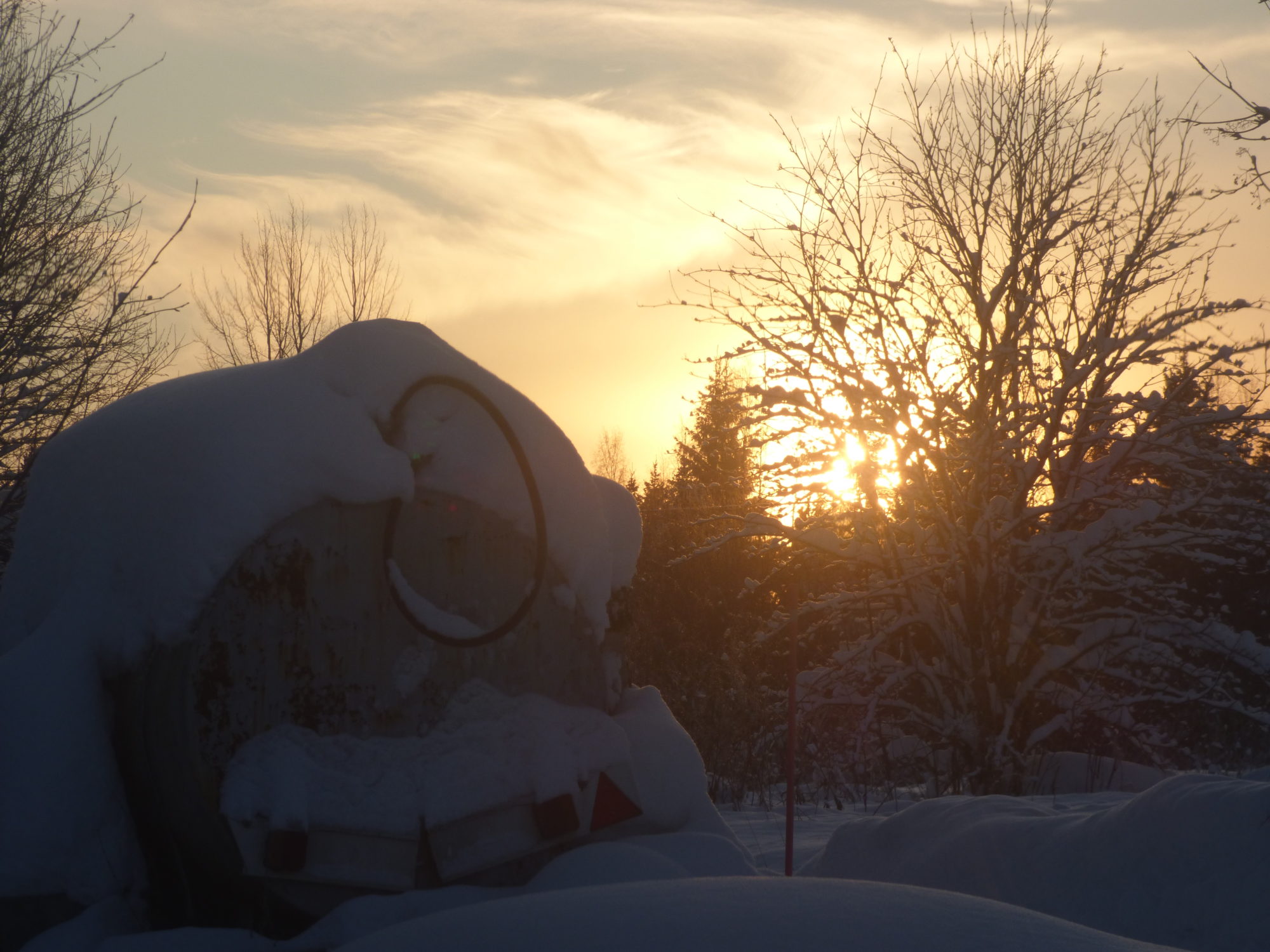 Valokuvaaja: Hannu Rissanen