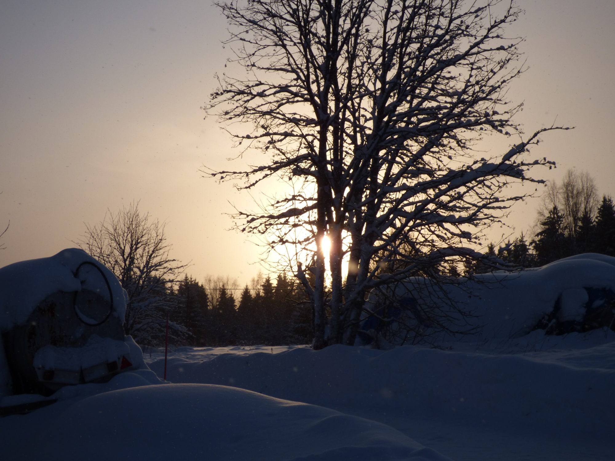 Valokuvaaja: Hannu Rissanen