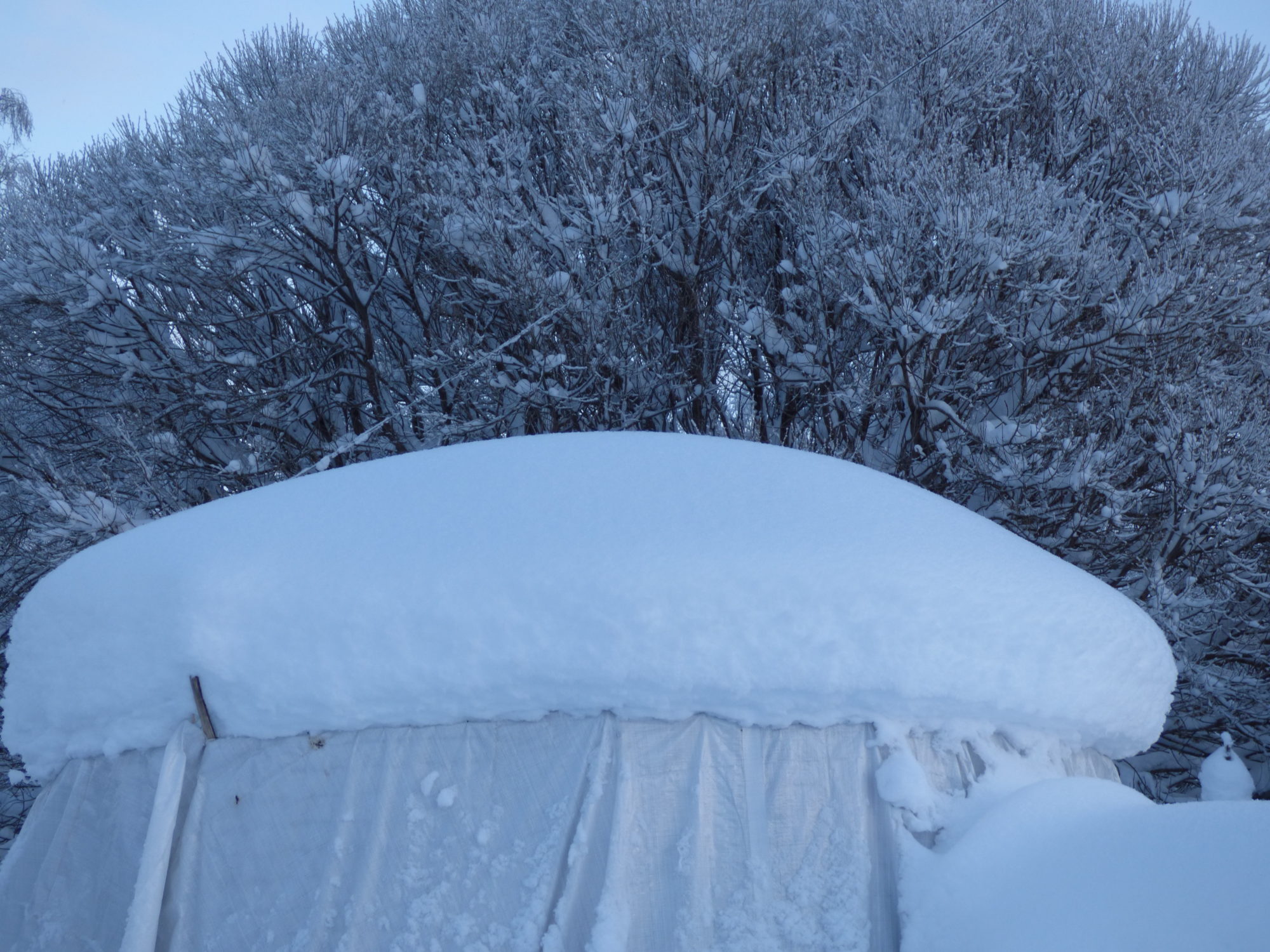 Valokuvaaja: Hannu Rissanen