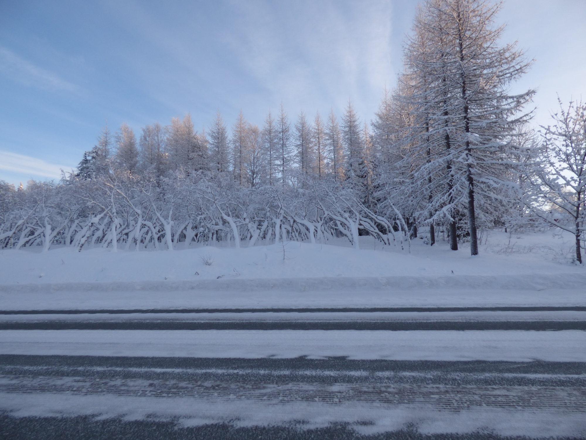 Valokuvaaja: Hannu Rissanen