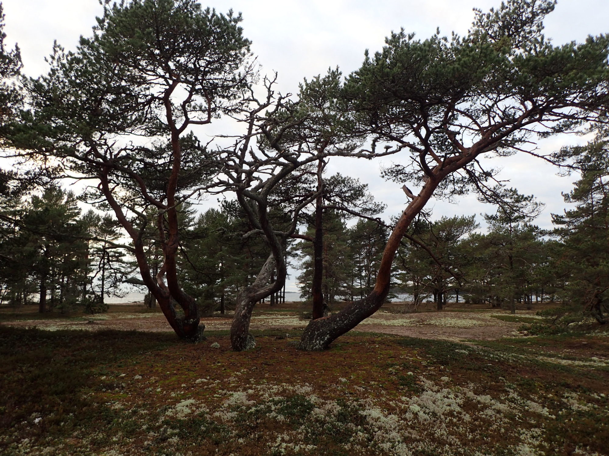 Valokuvaaja: Kari Aaltonen, Salo