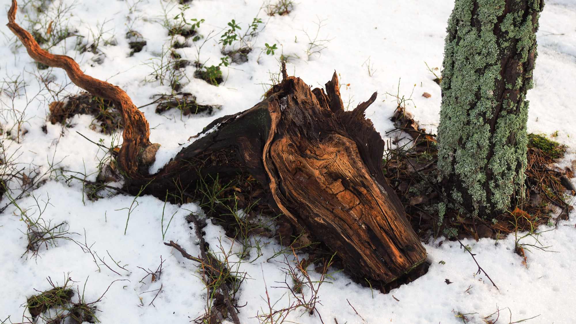 Valokuvaaja: Aki Jalava