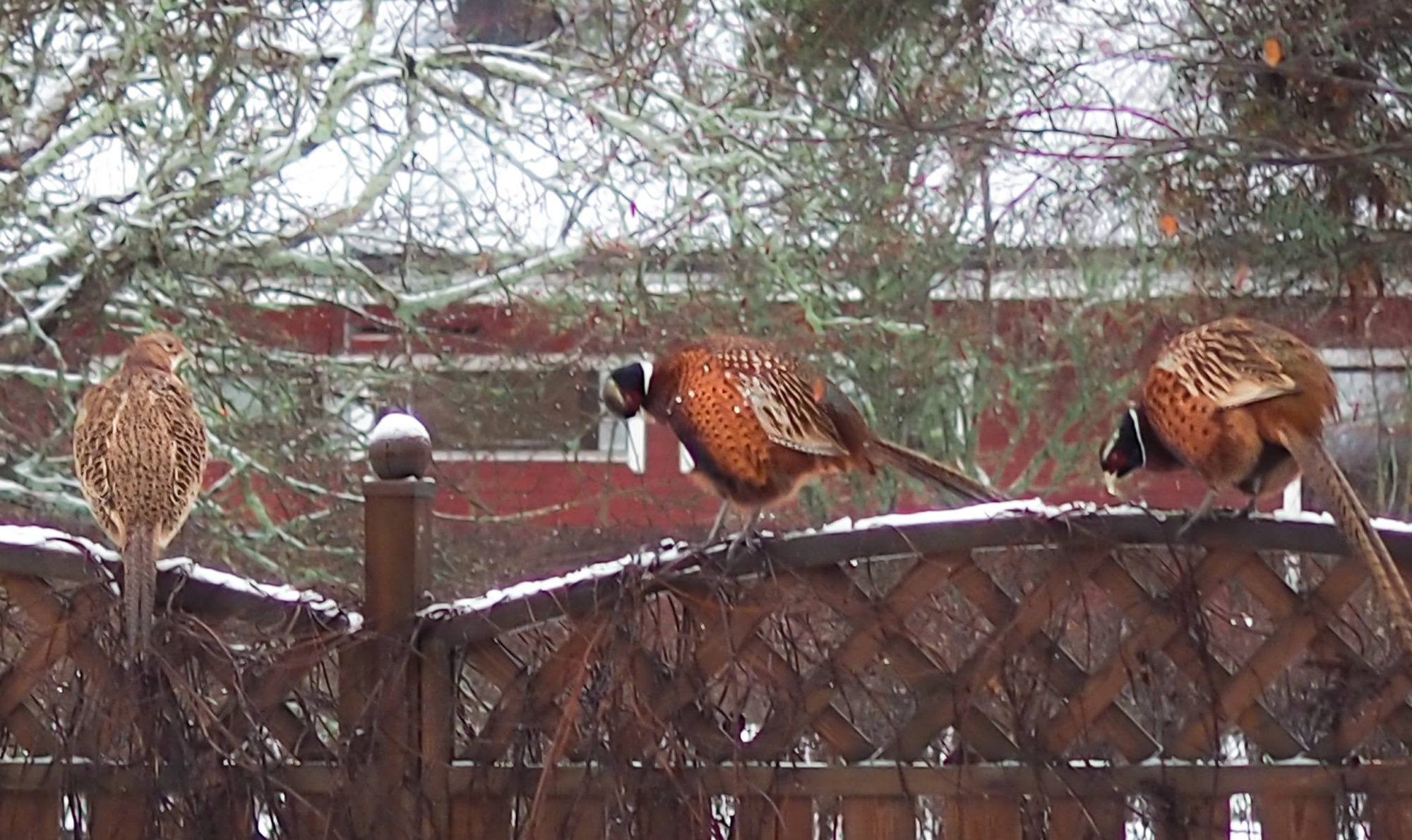 Valokuvaaja: Aki Jalava