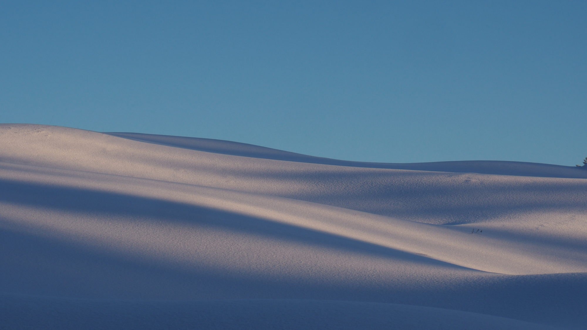 Valokuvaaja: Arja Valtonen