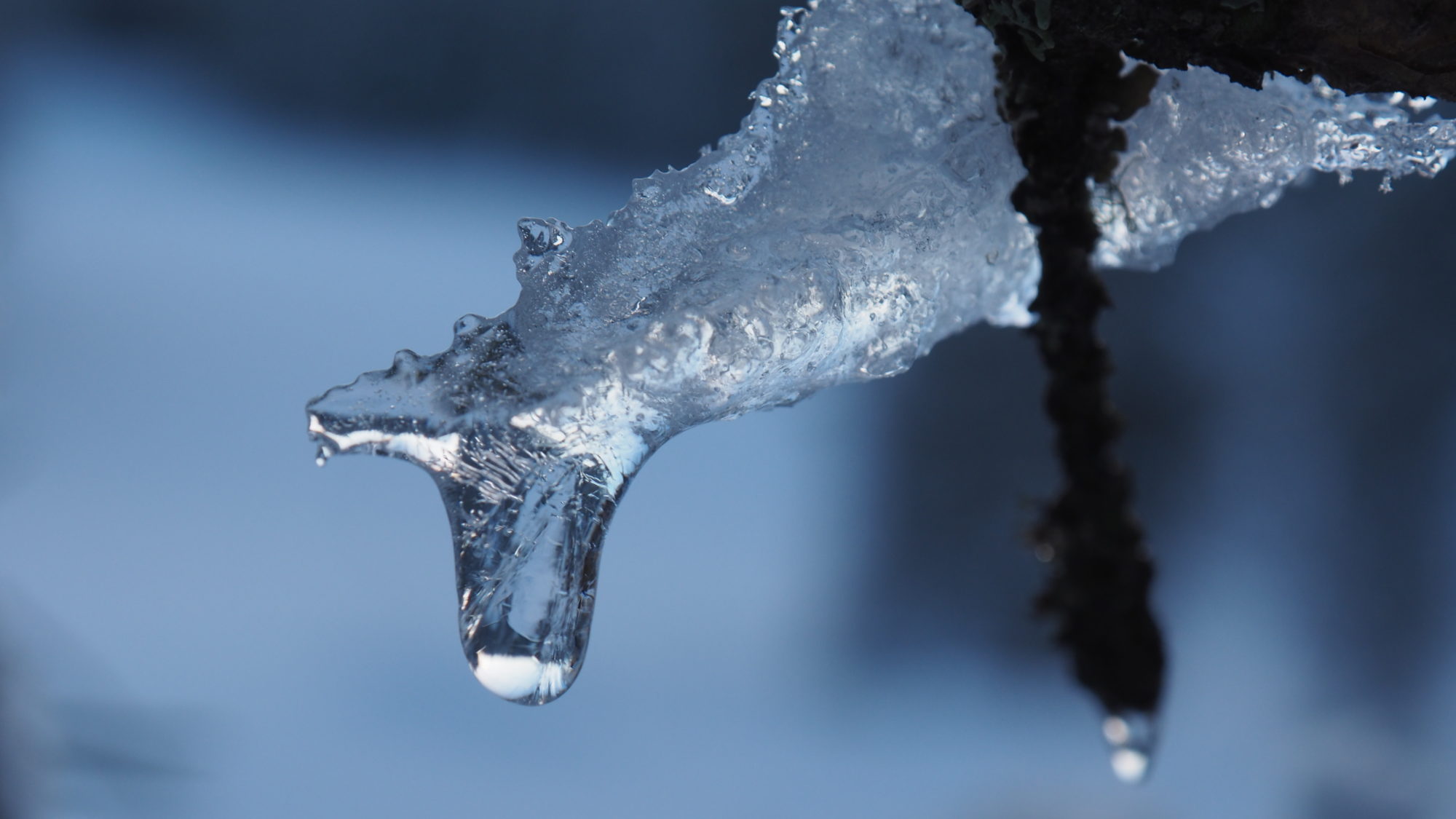 Valokuvaaja: Arja Valtonen