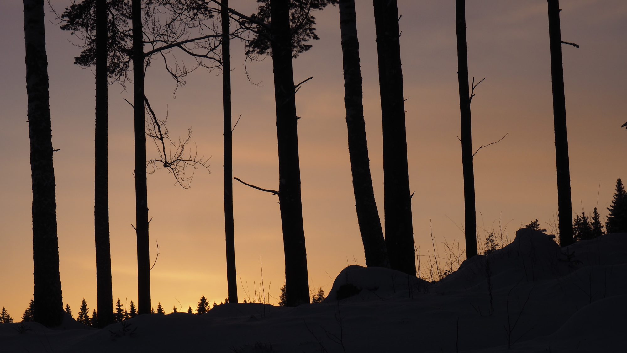 Valokuvaaja: Arja Valtonen