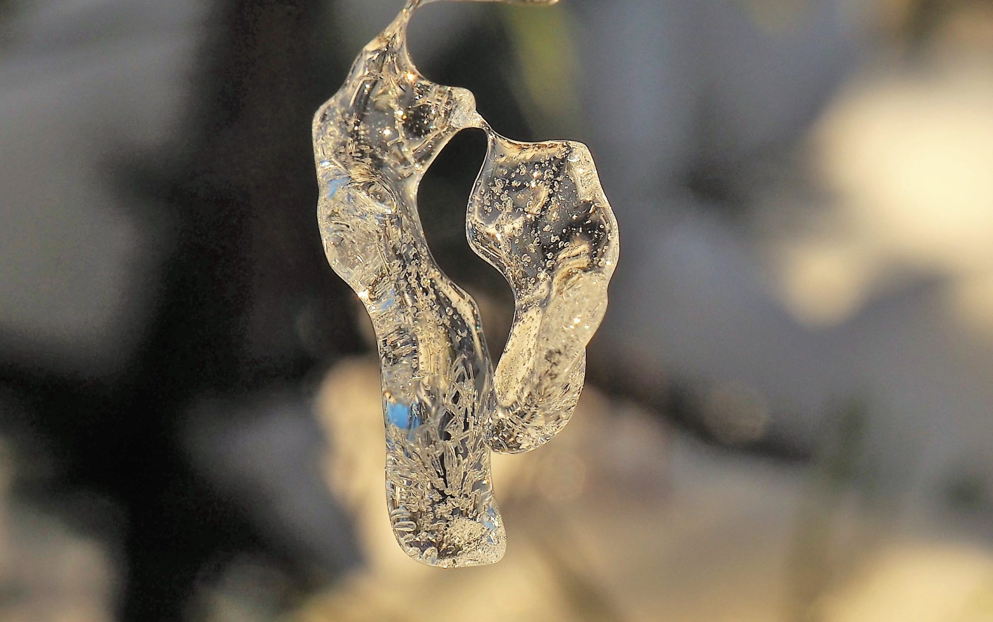 Valokuvaaja: Arja Valtonen Valokuvaaja: Arja Valtonen