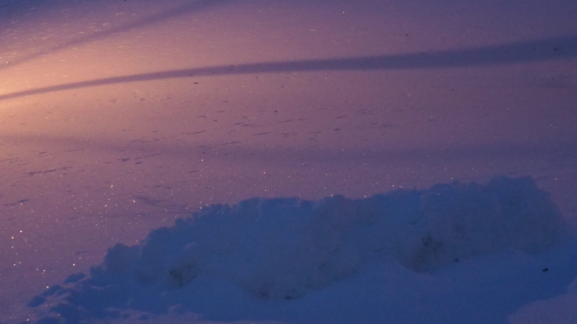 Valokuvaaja: Arja Valtonen