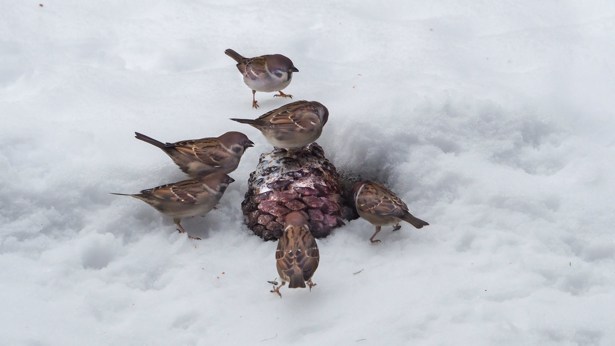 Valokuvaaja: Aki Jalava