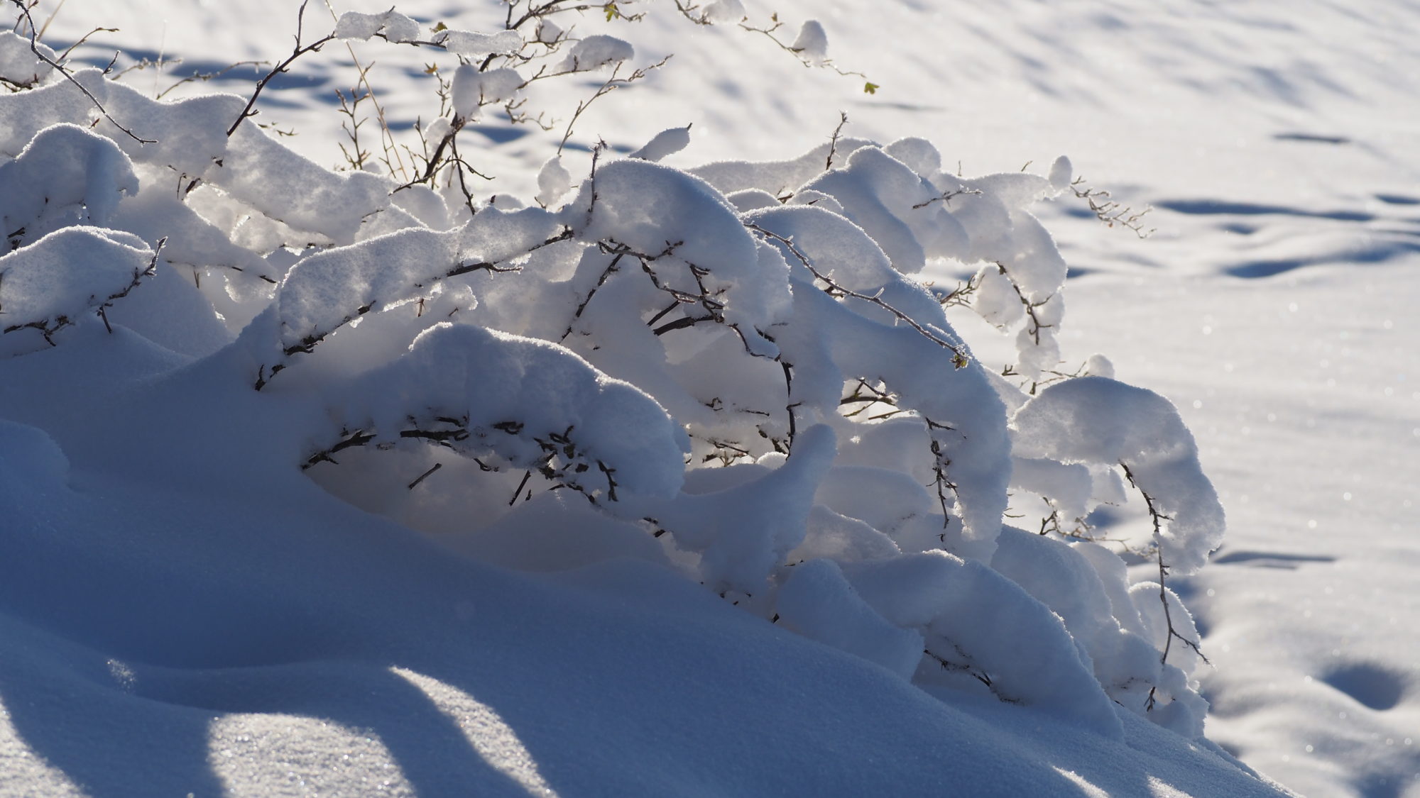 Valokuvaaja: Arja Valtonen