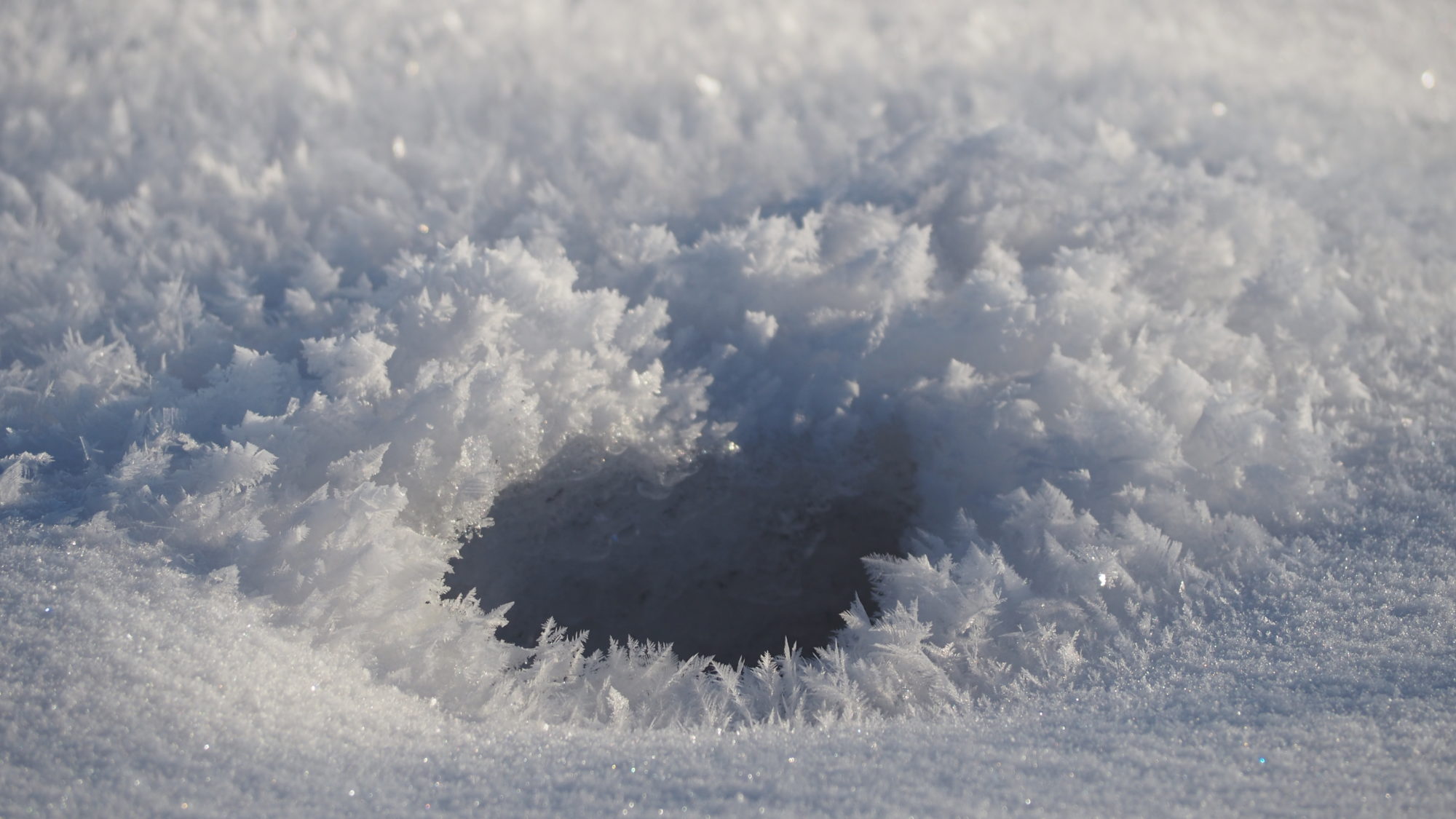 Valokuvaaja: Arja Valtonen