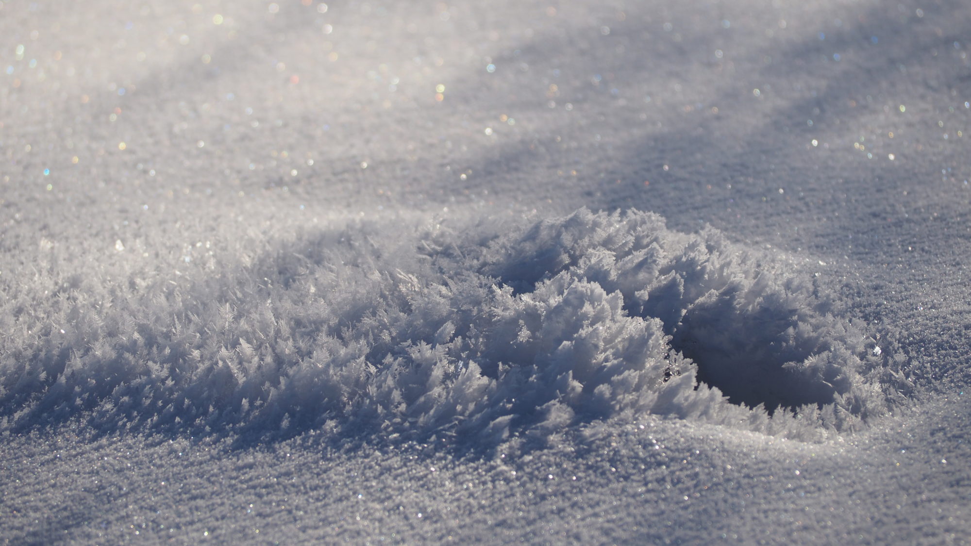 Valokuvaaja: Arja Valtonen