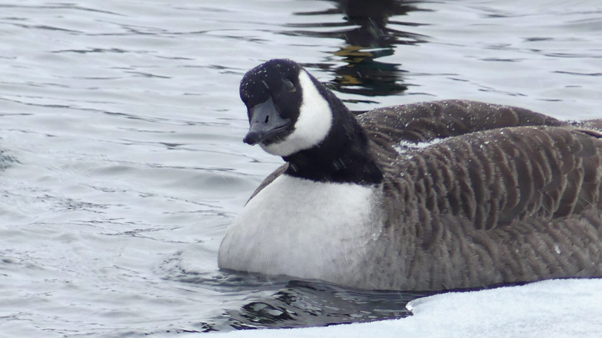 Valokuvaaja: Martti Valtonen