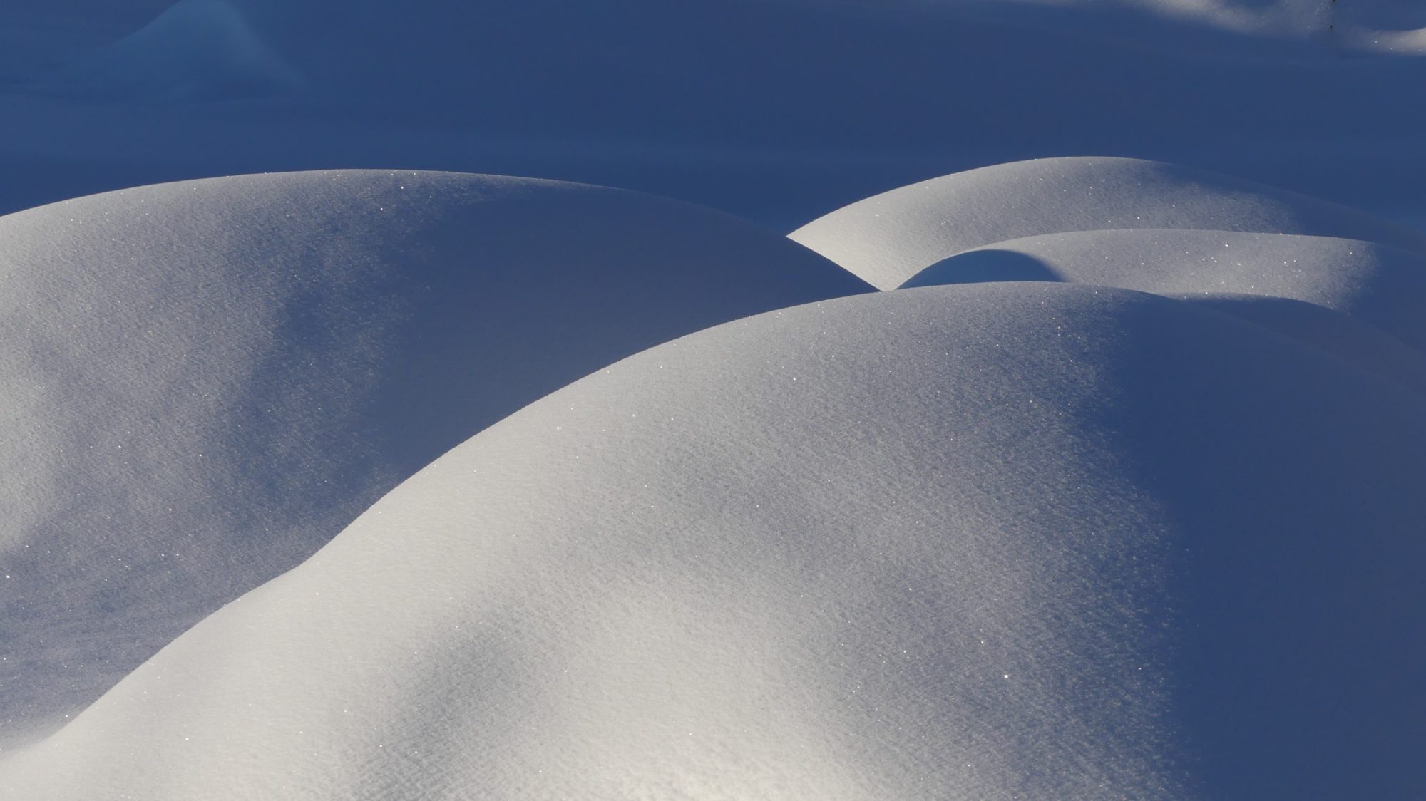 Valokuvaaja: Martti Valtonen Valokuvaaja: Martti Valtonen