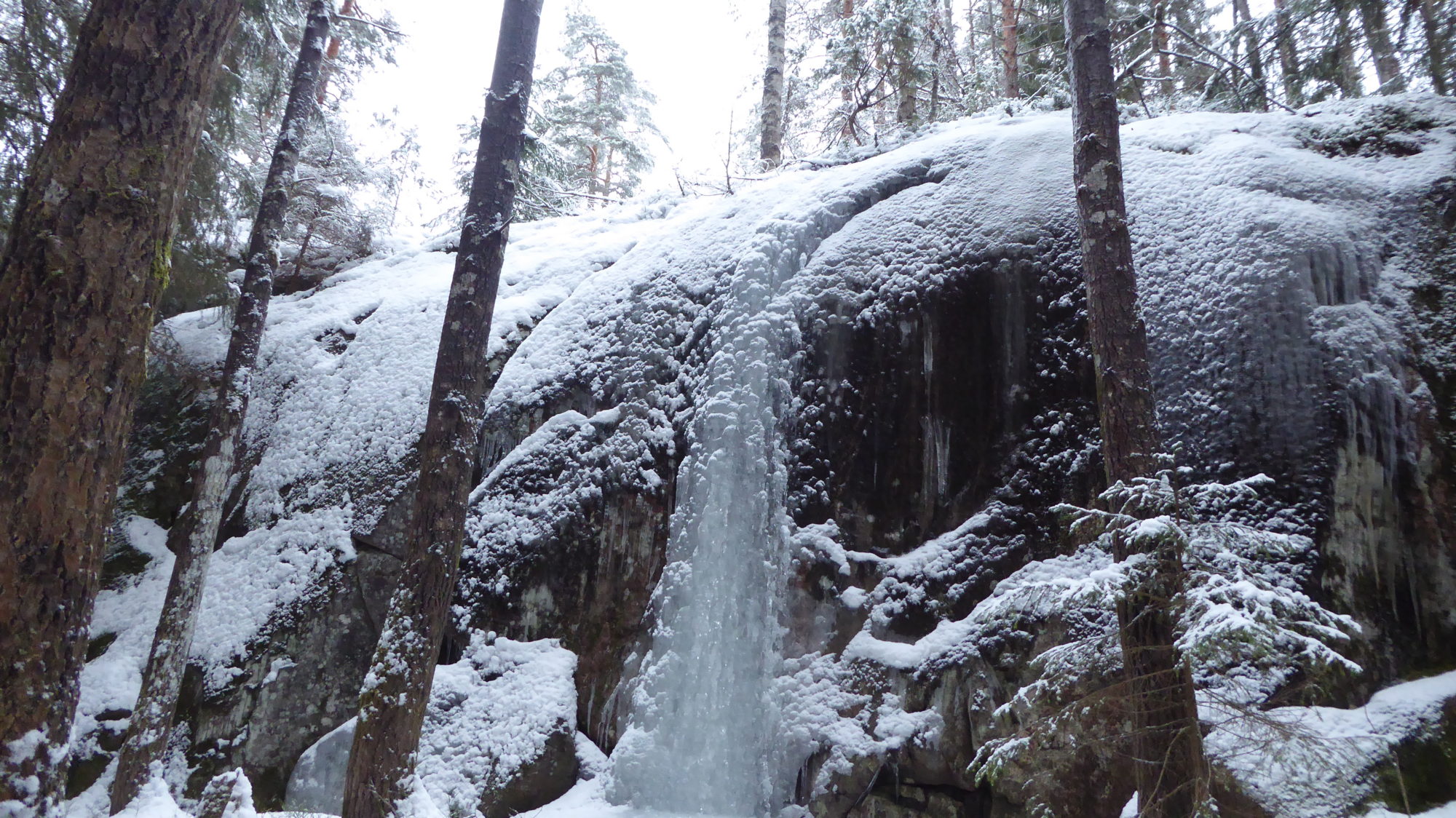 Valokuvaaja: Arja Valtonen