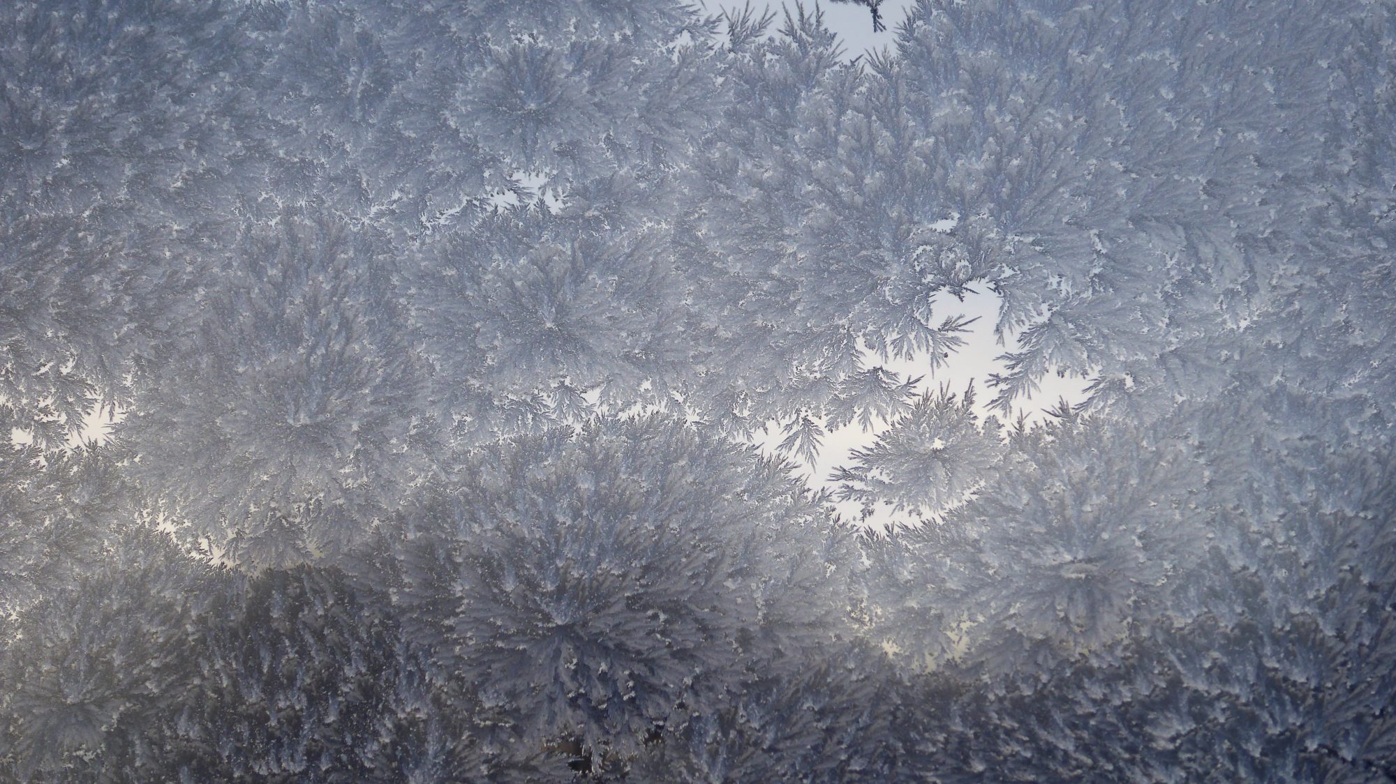 Valokuvaaja: Arja Valtonen