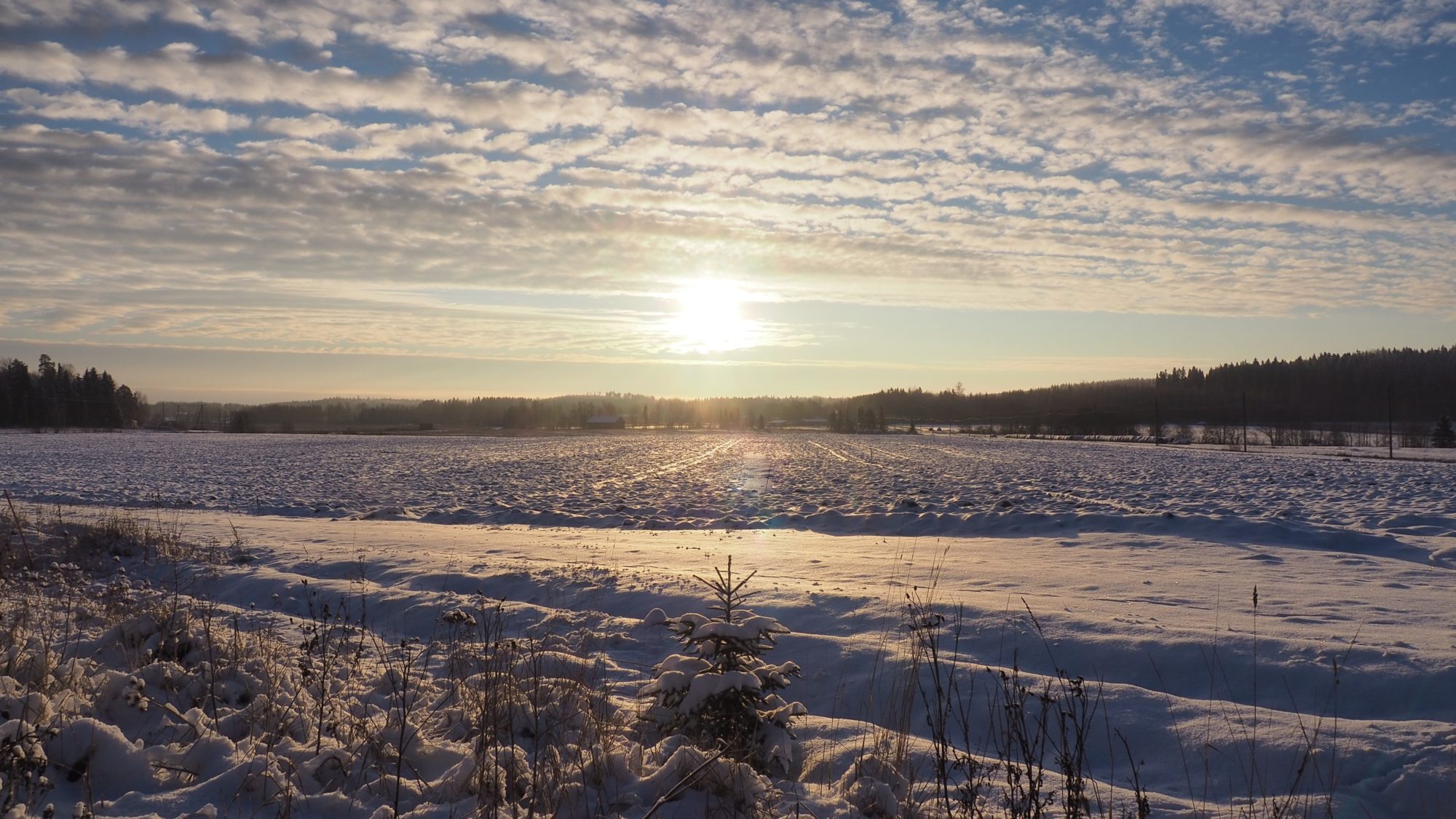 Valokuvaaja: Arja Valtonen