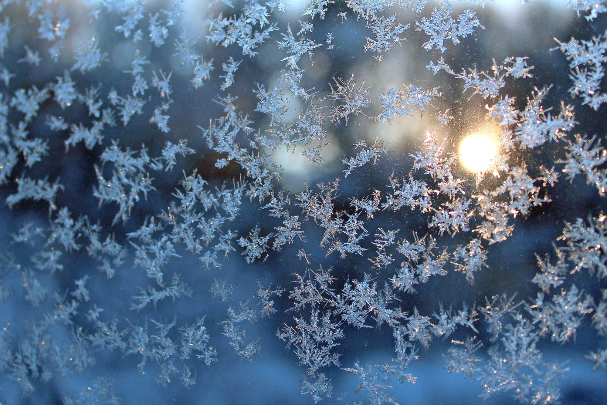 Valokuvaaja: Paula Savelius