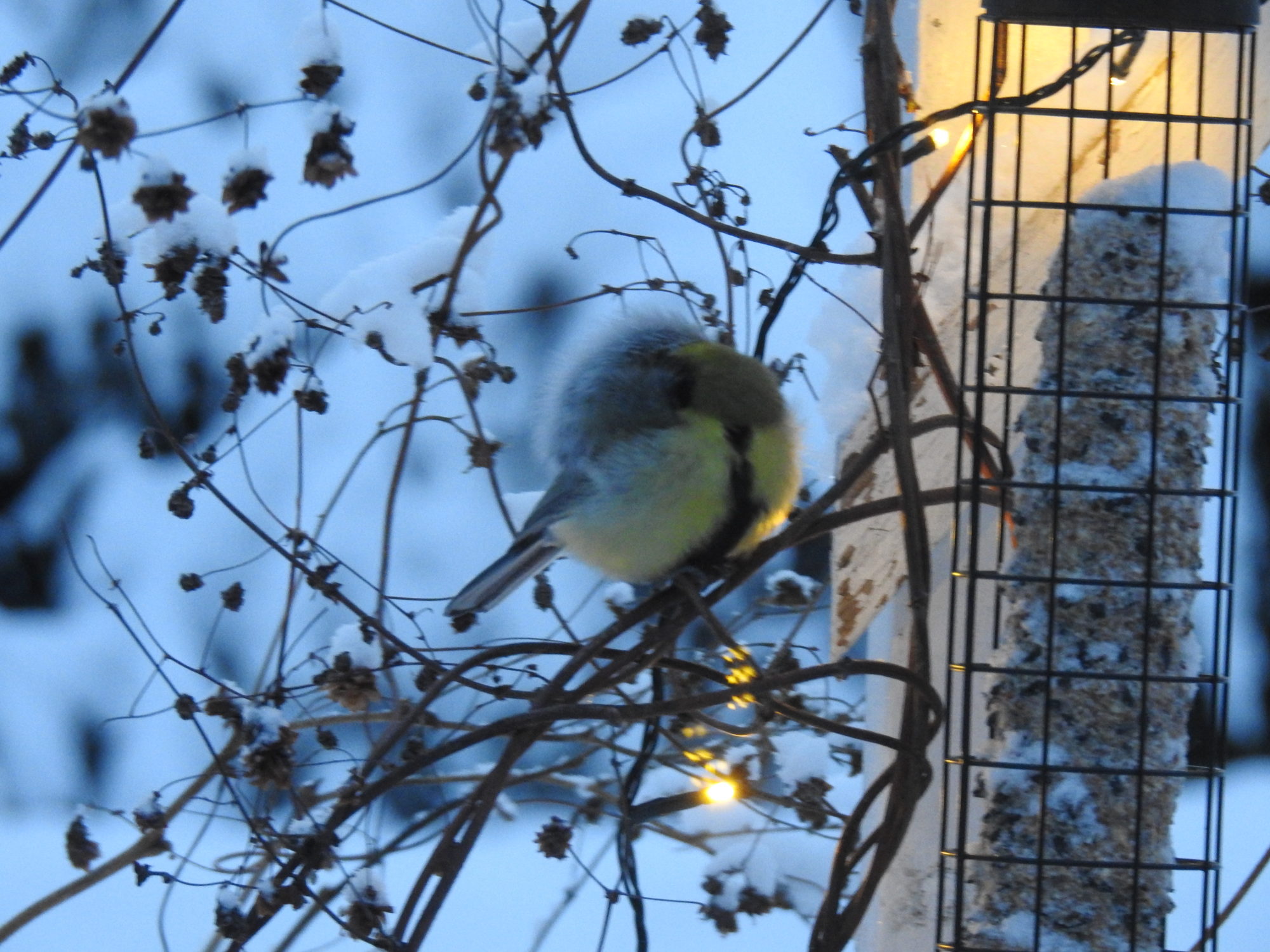 Valokuvaaja: Sirkka Tervo Valokuvaaja: Sirkka Tervo