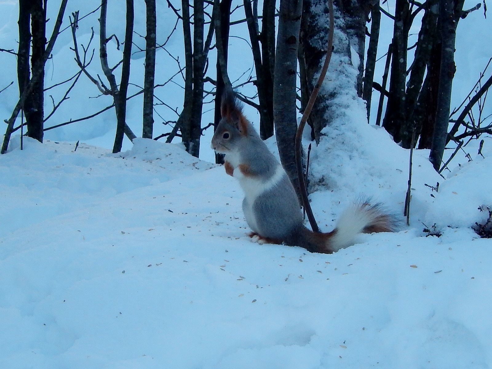Valokuvaaja: Pirkko Siukonen