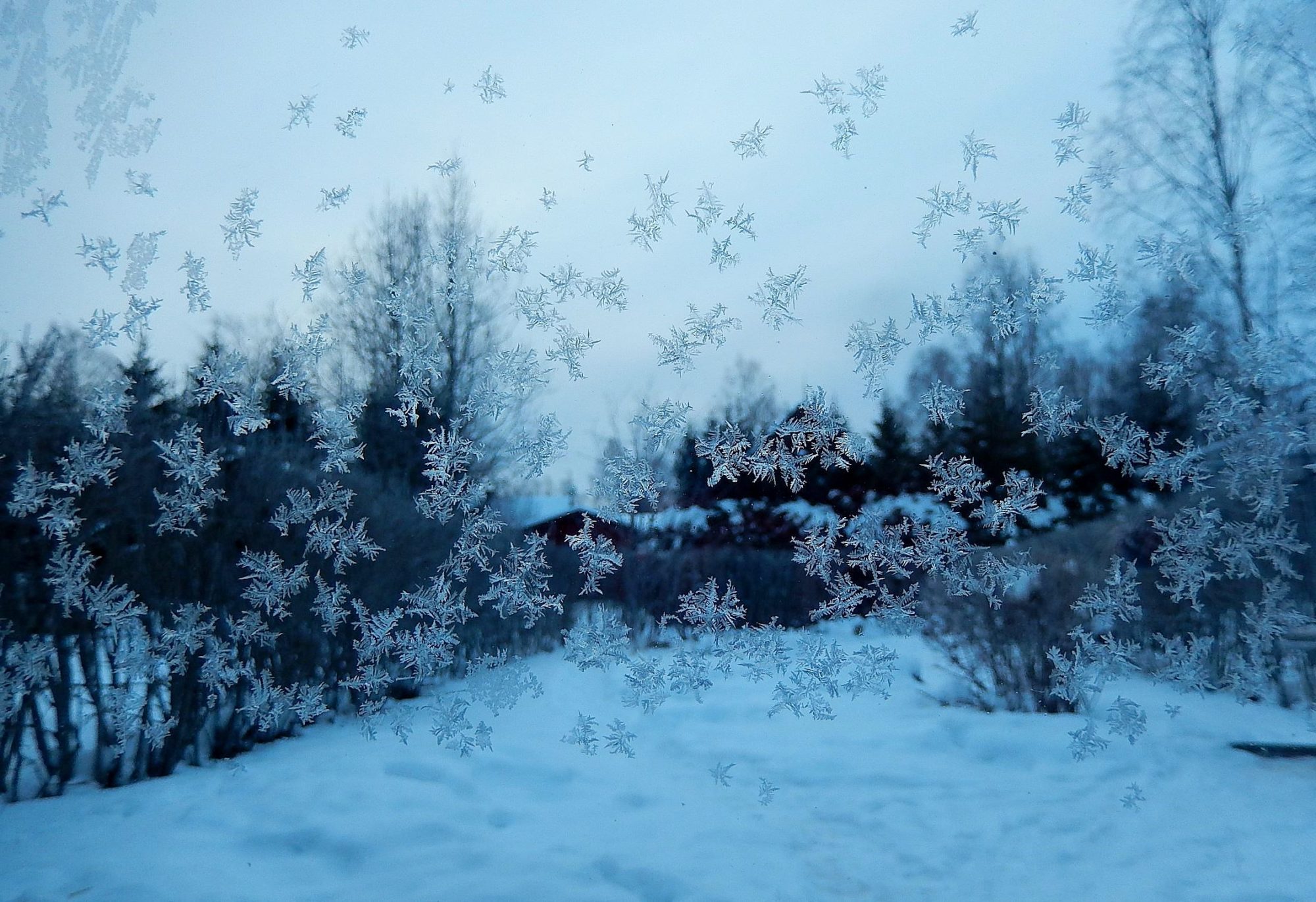 Valokuvaaja: Pirkko Siukonen Valokuvaaja: Pirkko Siukonen