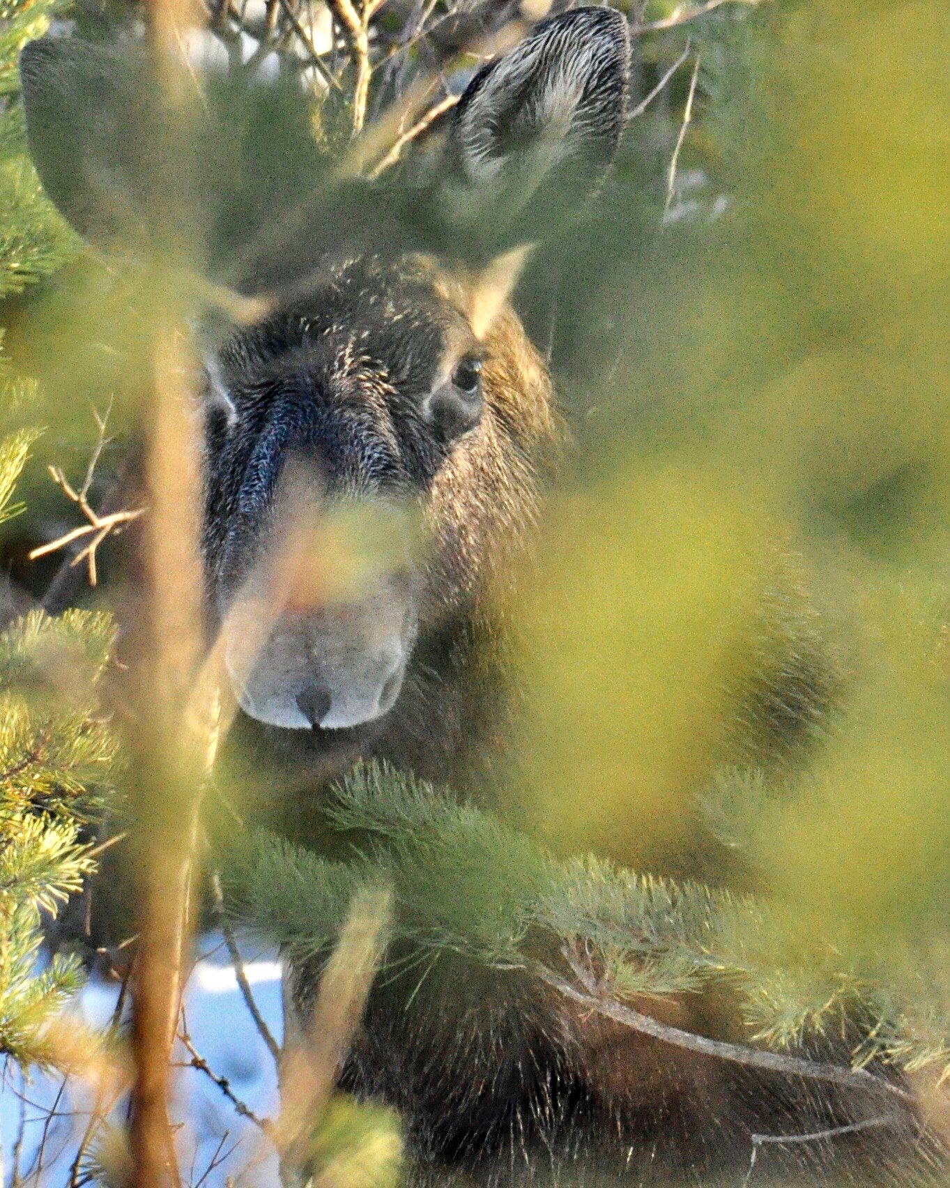 Valokuvaaja: Jenni Merilä