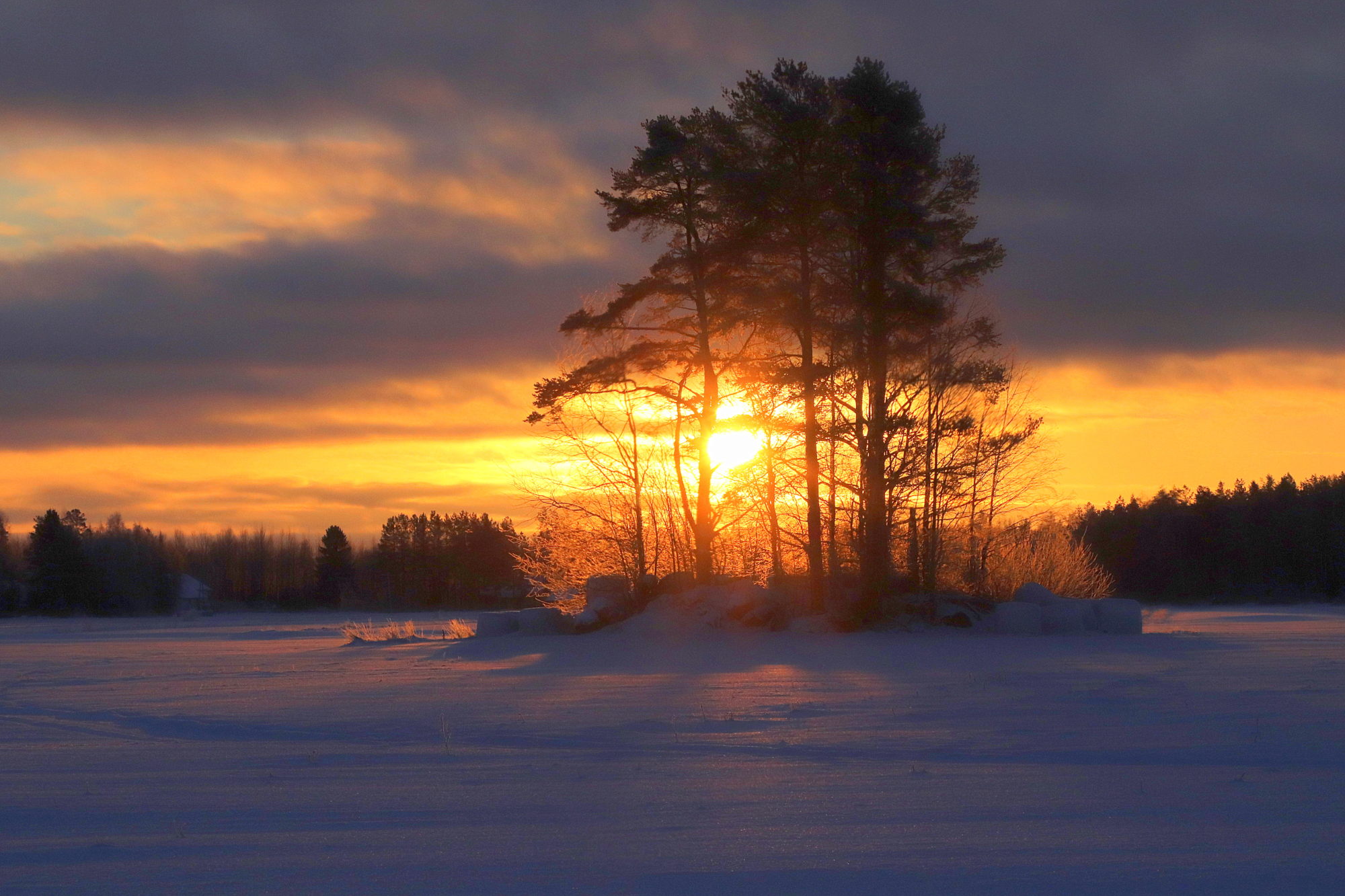 Valokuvaaja: sirpa jyske
