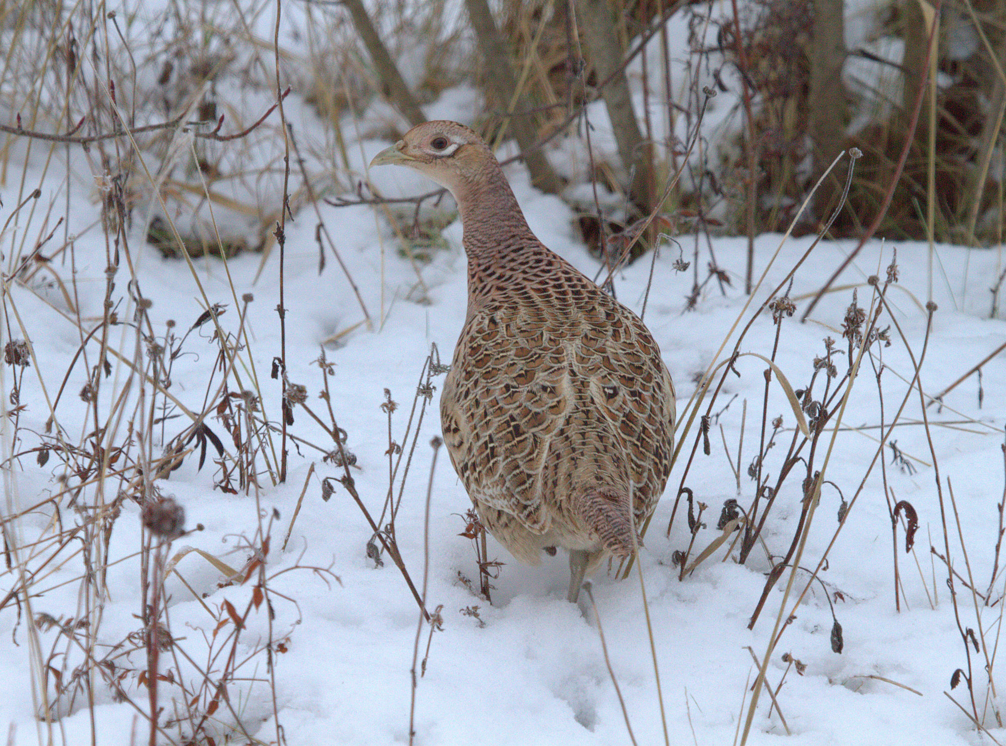 Valokuvaaja: sirpa jyske
