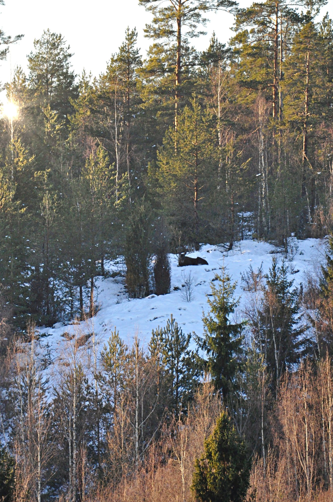 Valokuvaaja: Jenni Merilä Valokuvaaja: Jenni Merilä