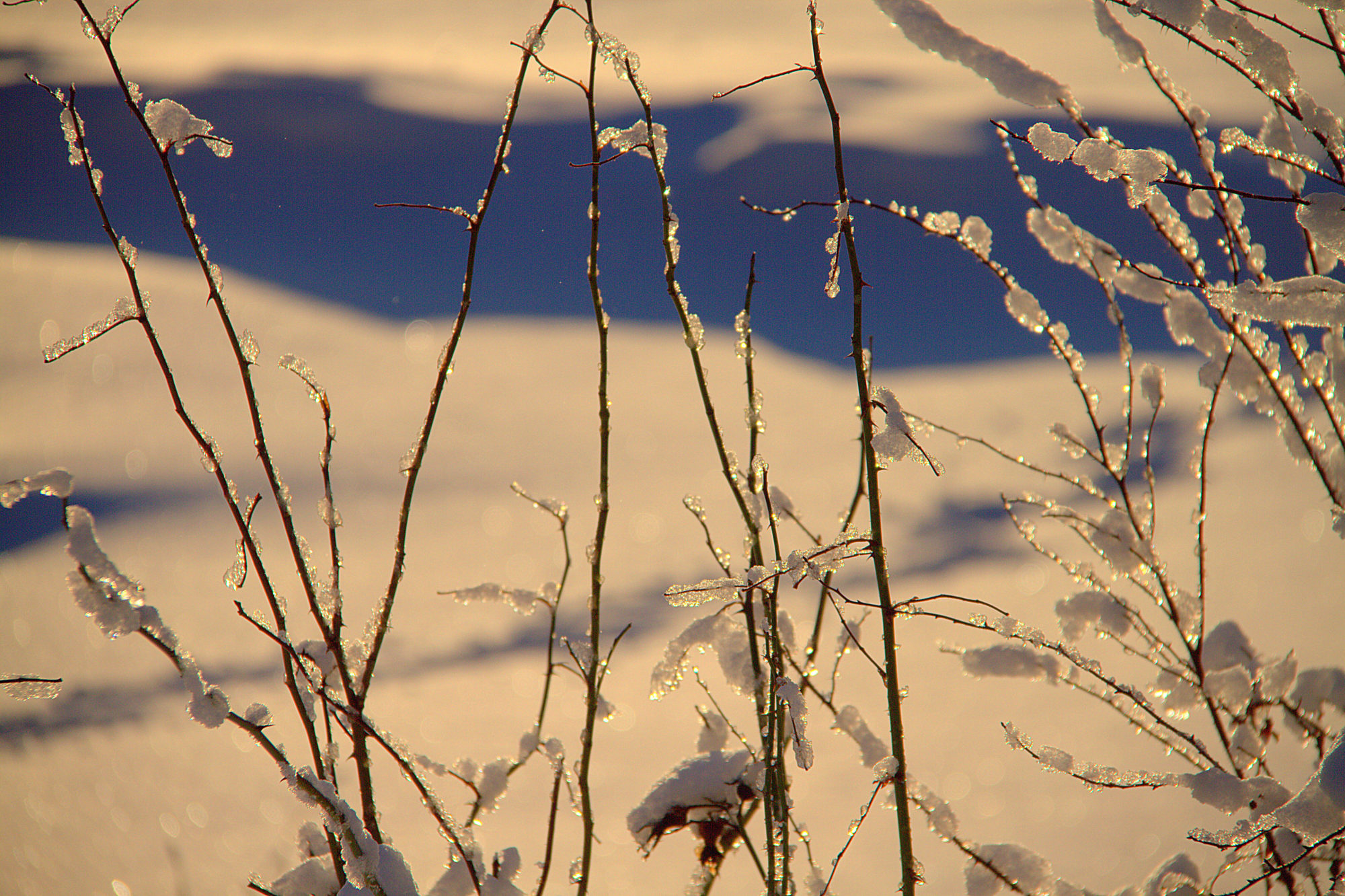 Valokuvaaja: sirpa jyske