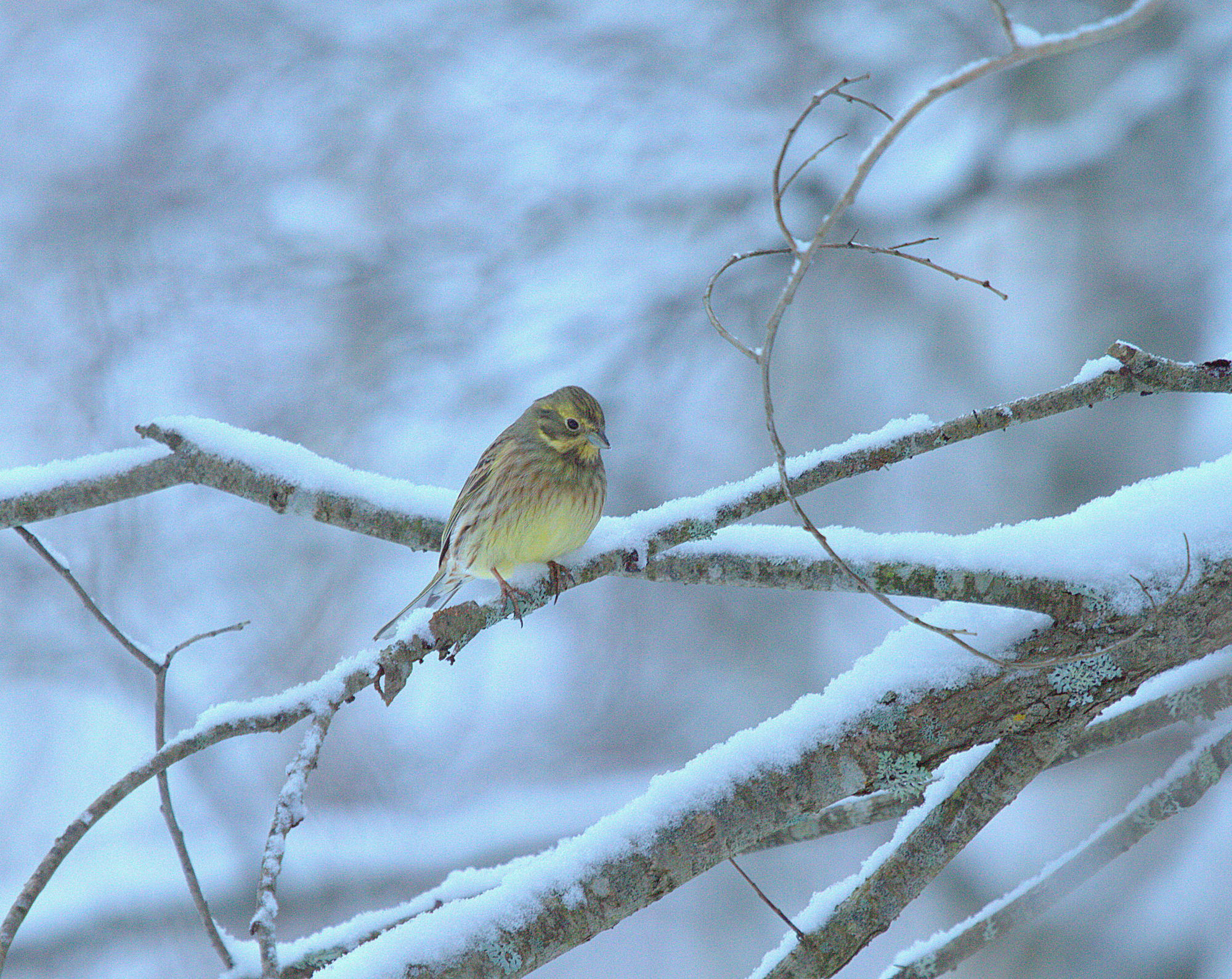 Valokuvaaja: sirpa Jyske Valokuvaaja: sirpa Jyske
