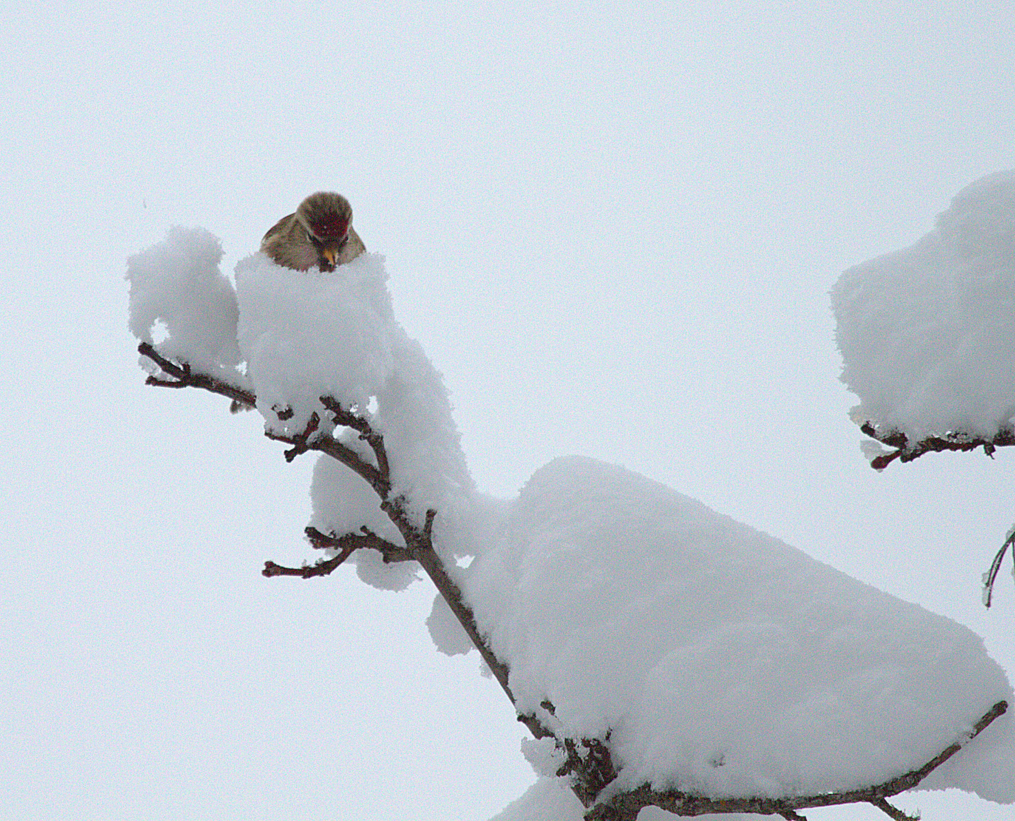 Valokuvaaja: sirpa jyske