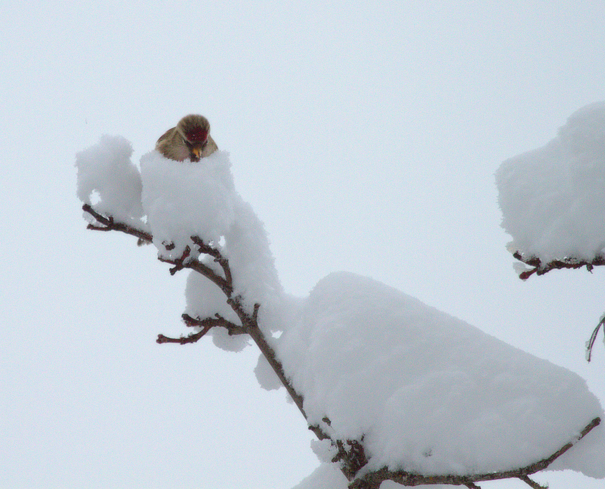Valokuvaaja: sirpa Jyske Valokuvaaja: sirpa Jyske