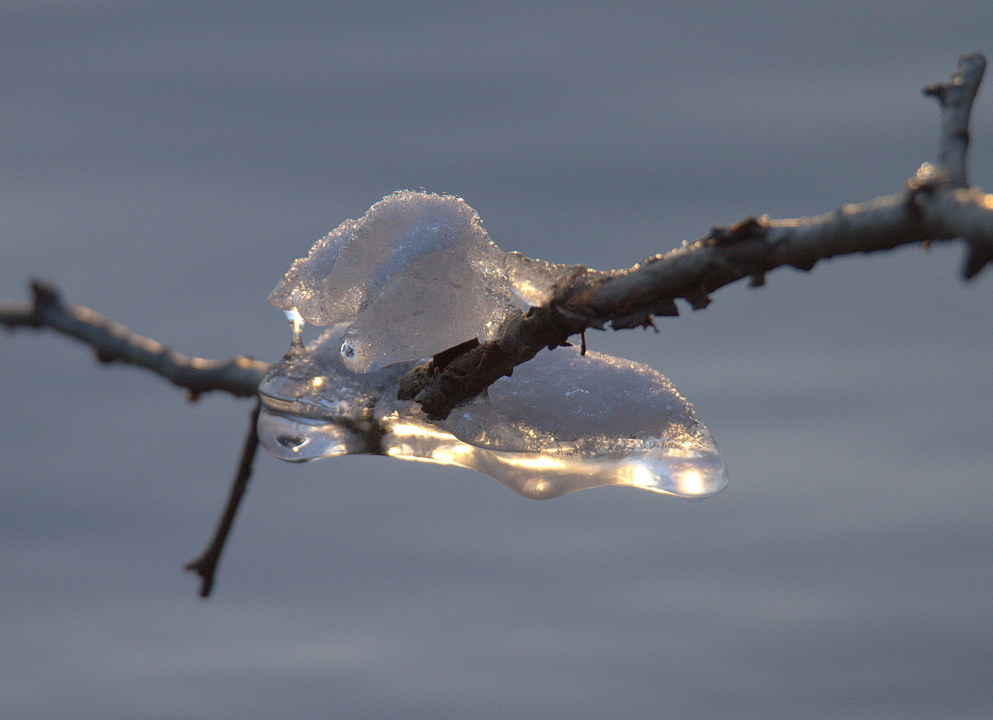 Valokuvaaja: sirpa Jyske