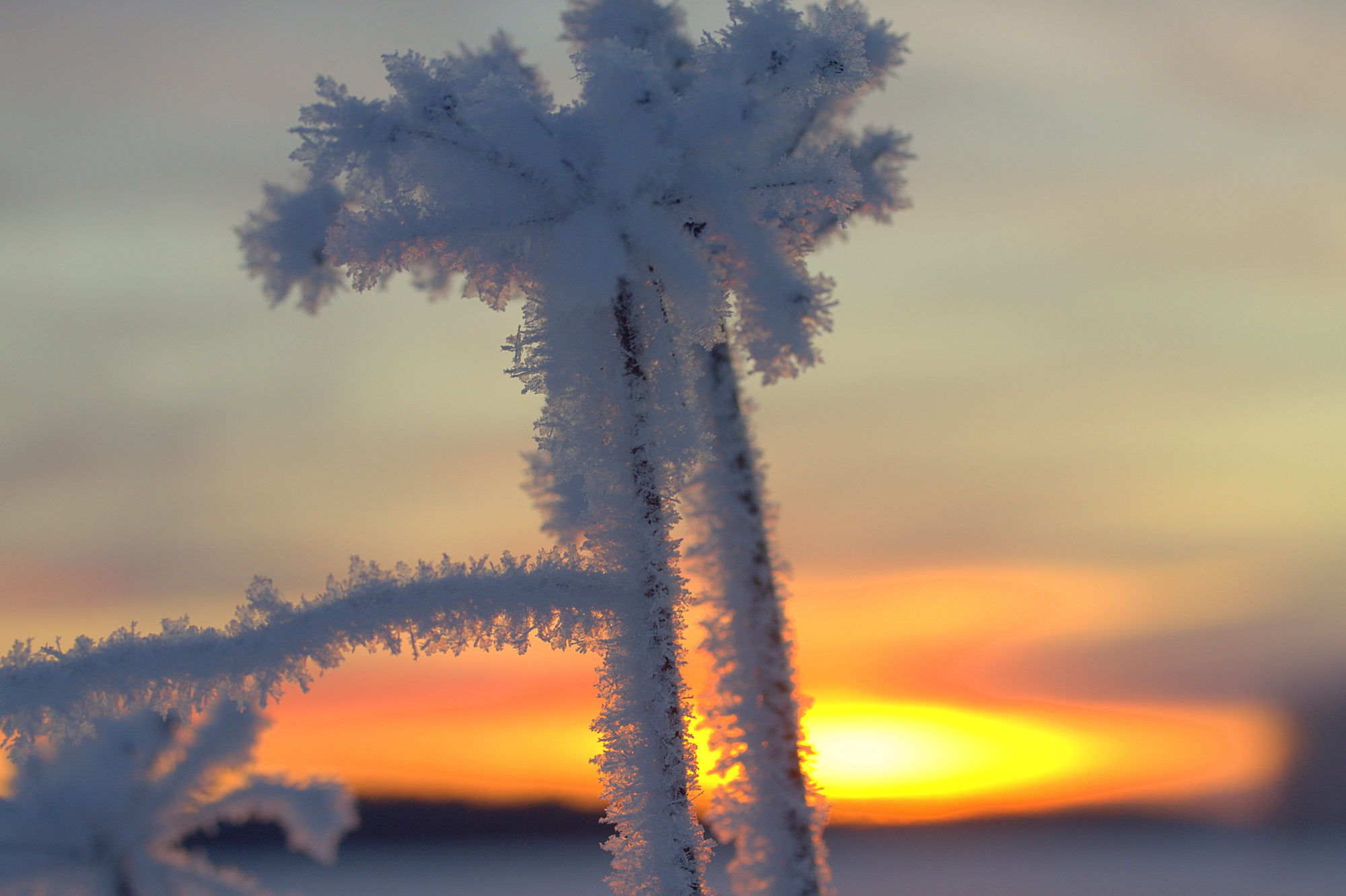 Valokuvaaja: sirpa jyske