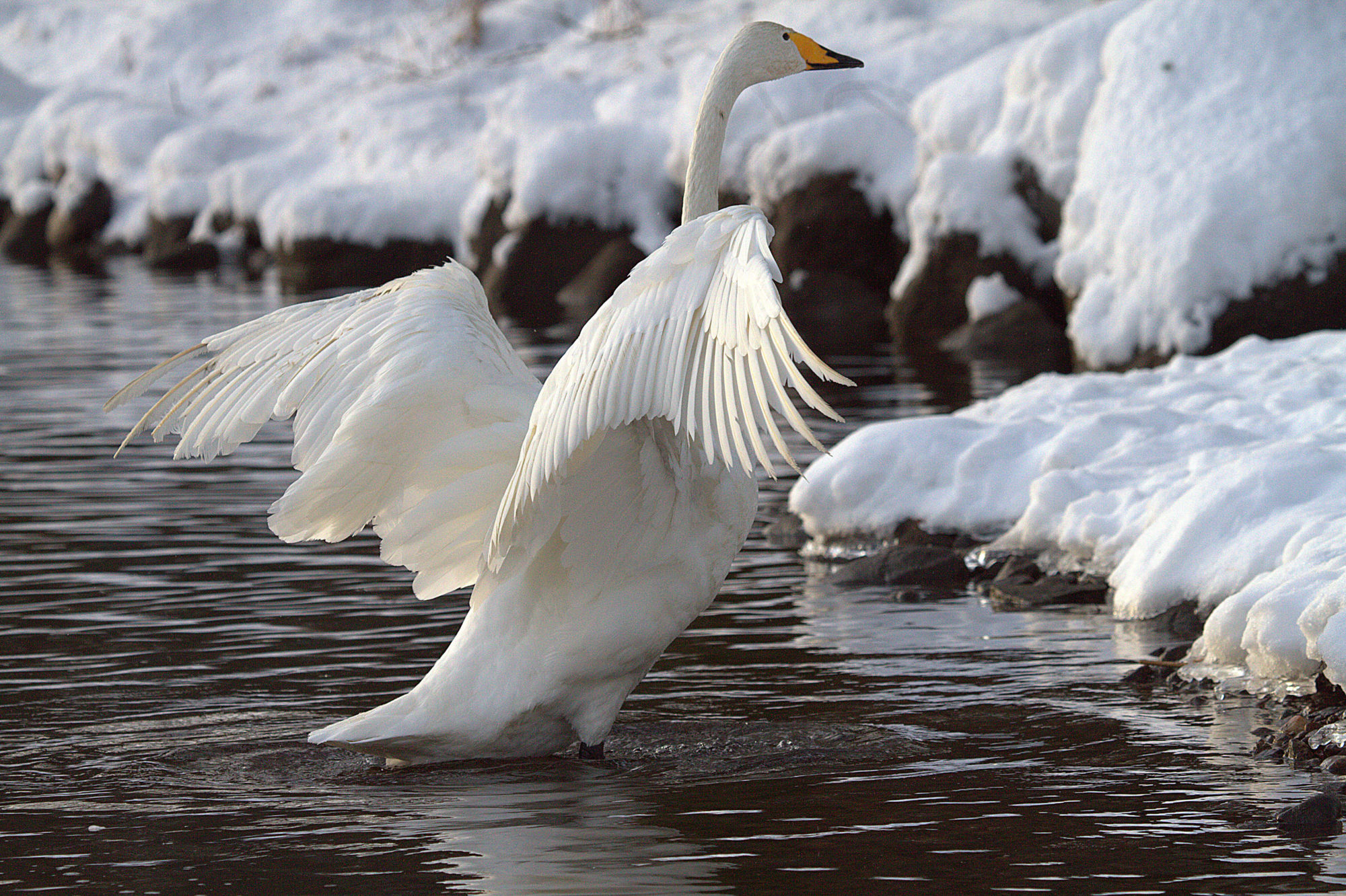 Valokuvaaja: Sirpa Jyske