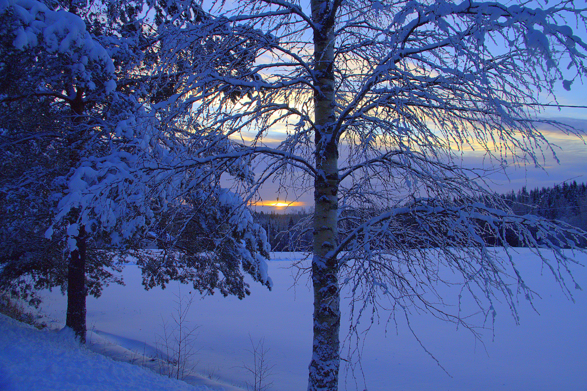 Valokuvaaja: sirpa jyske