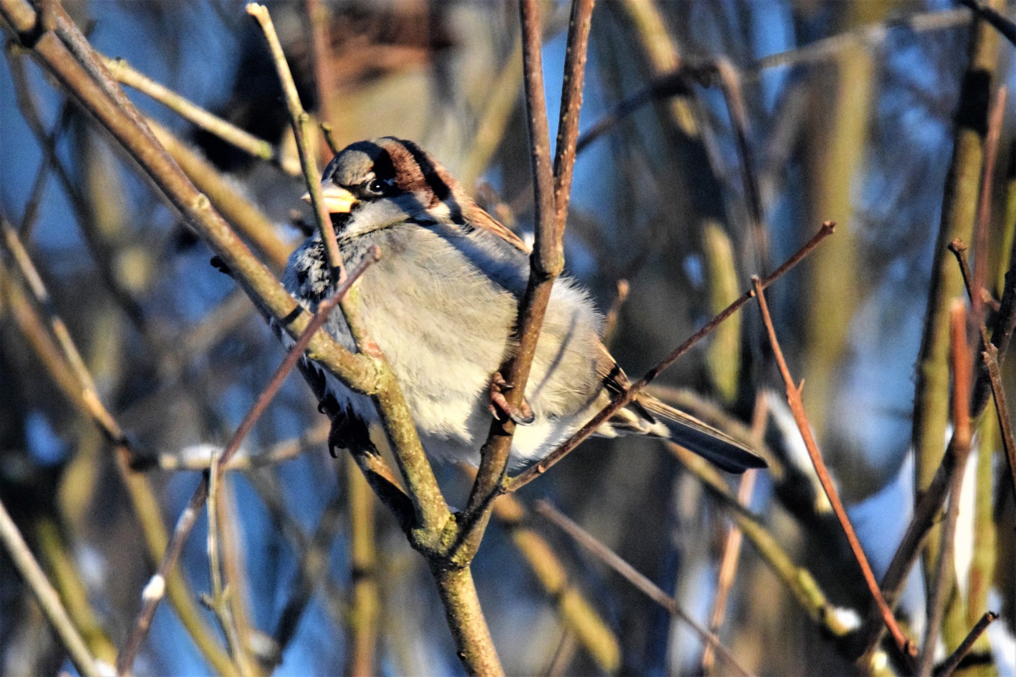 Valokuvaaja: Eetu Savolainen