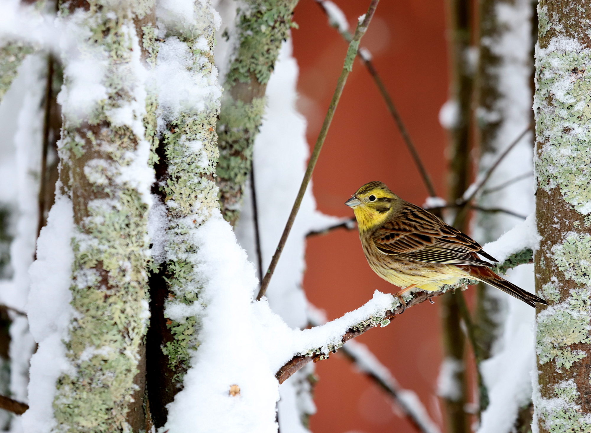 Valokuvaaja: sirpa jyske