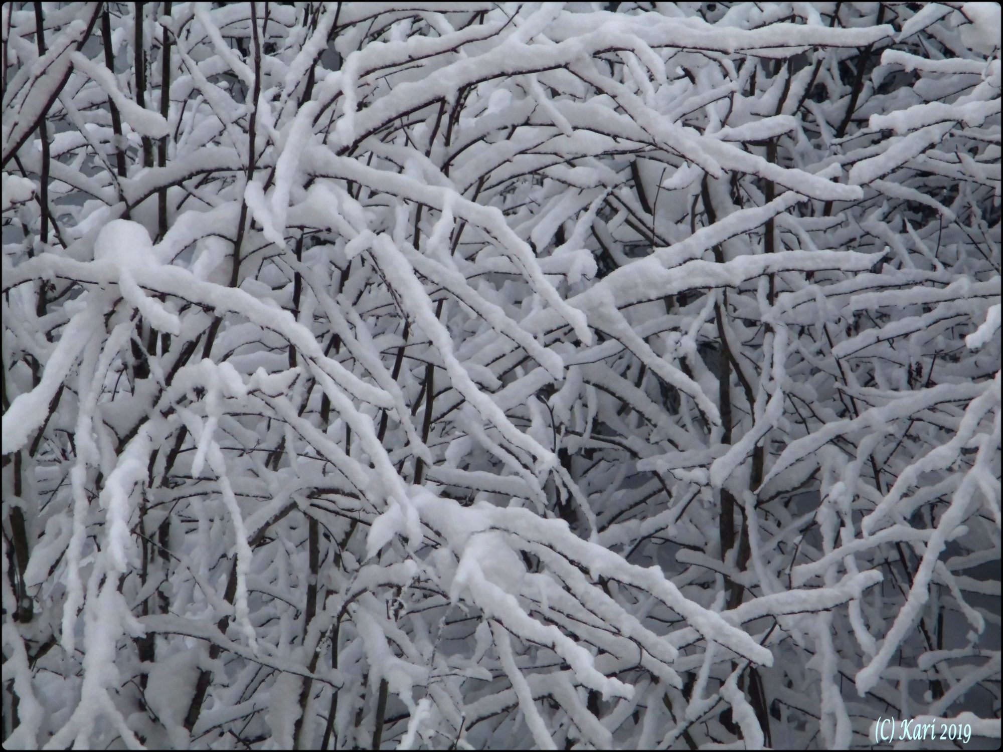 Valokuvaaja: Kari Saarinen
