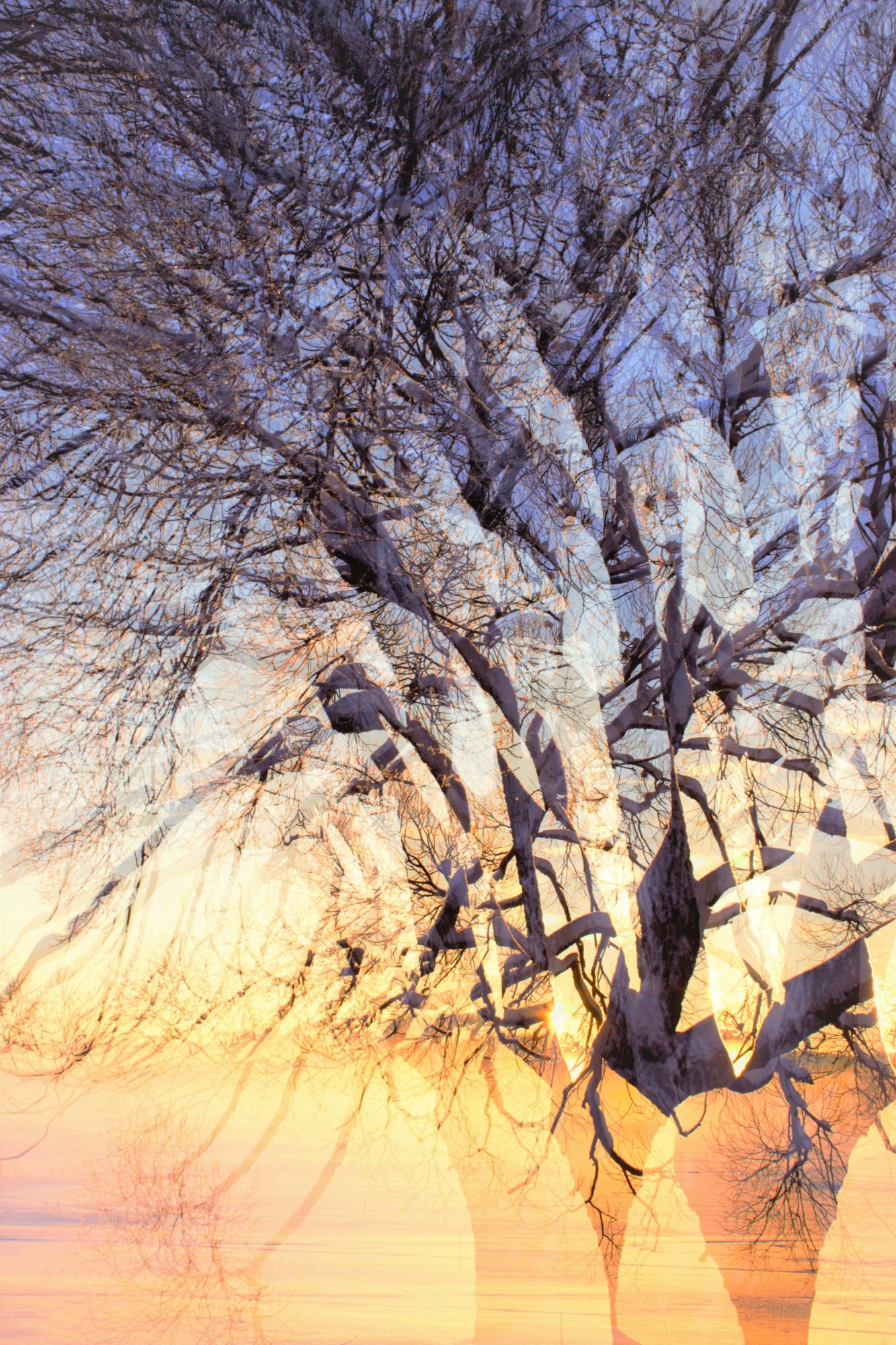 Valokuvaaja: Leena Rissanen