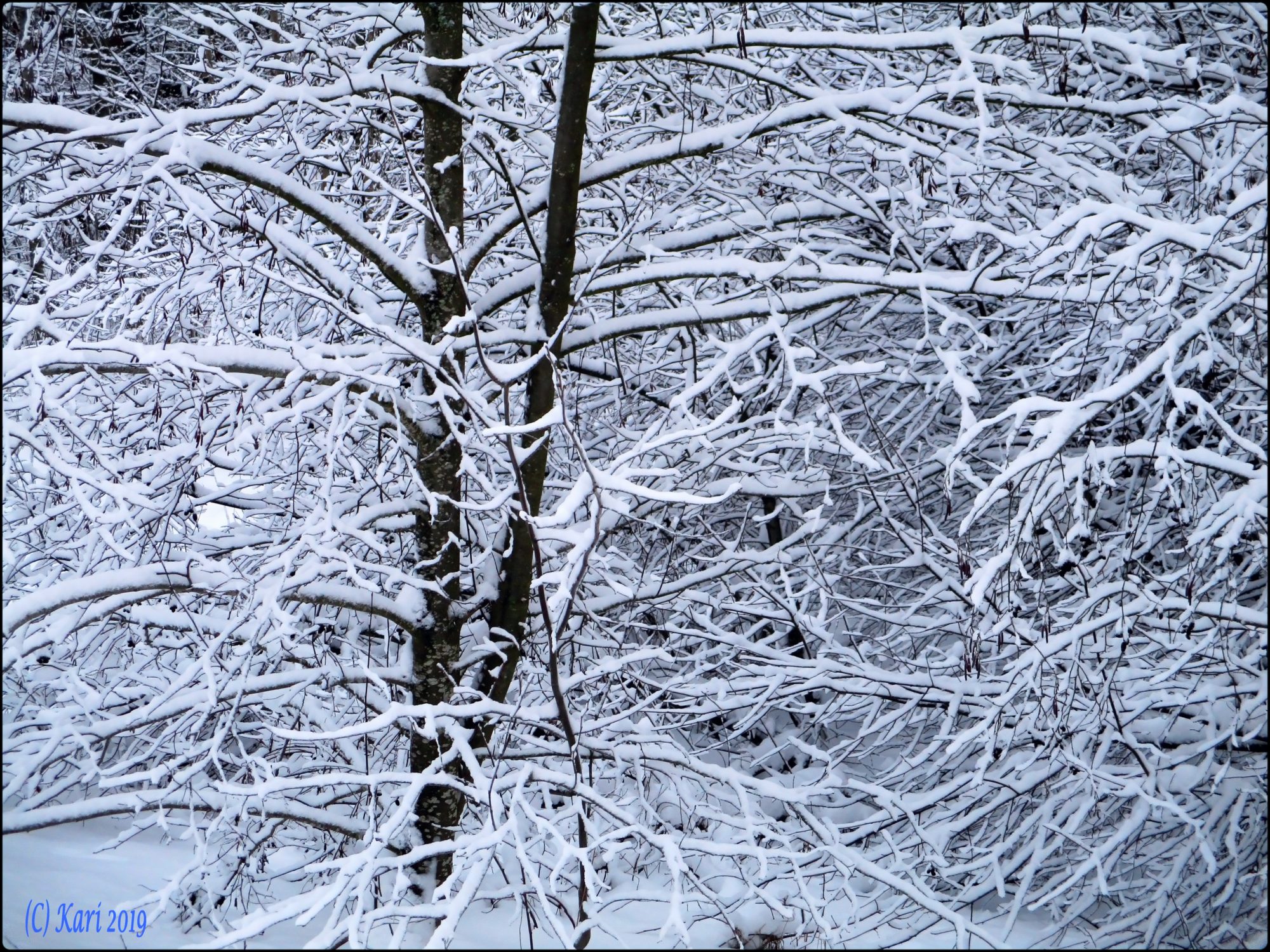 Valokuvaaja: Kari Saarinen